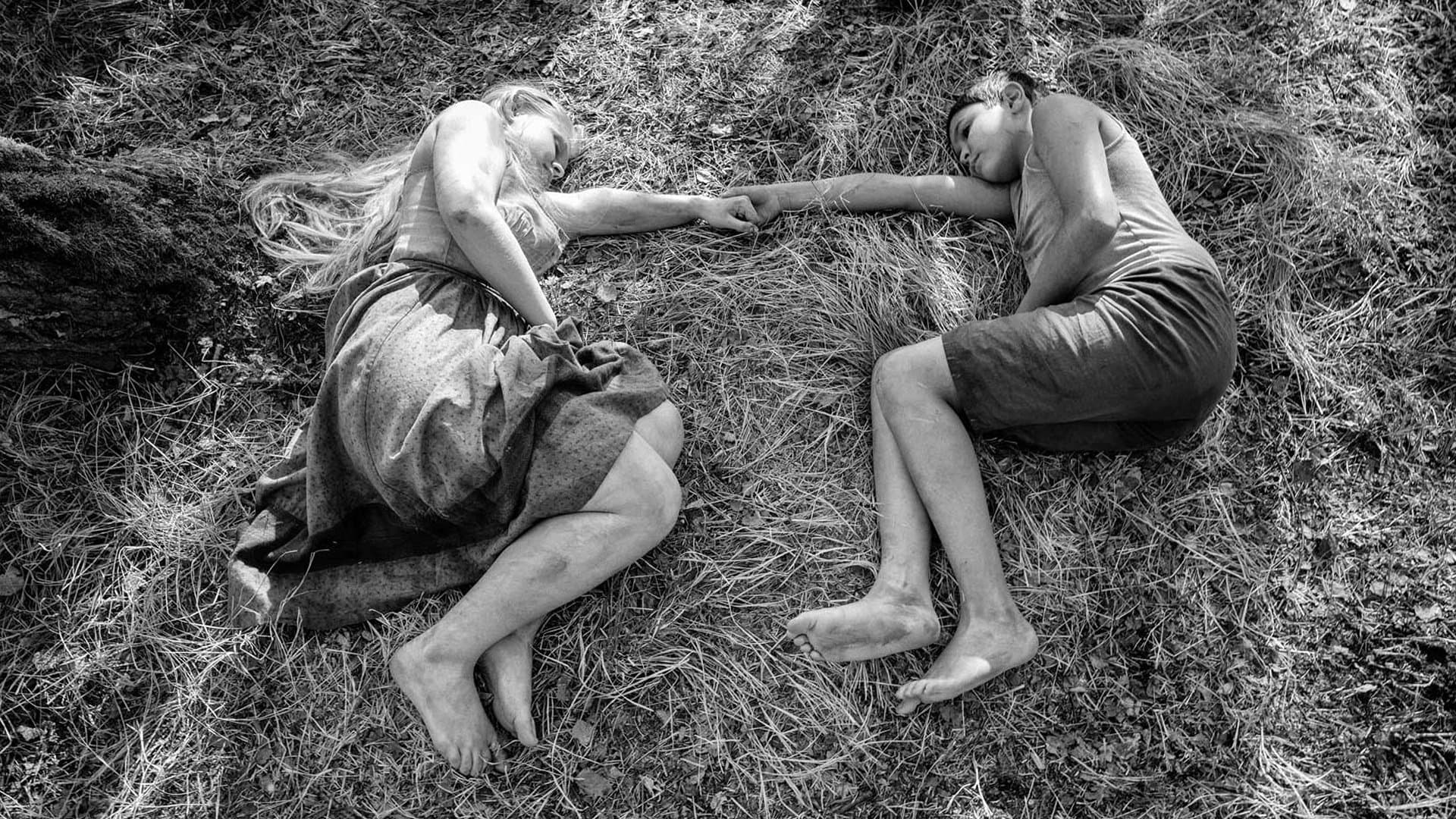 The Painted Bird - Nabarvené ptáče