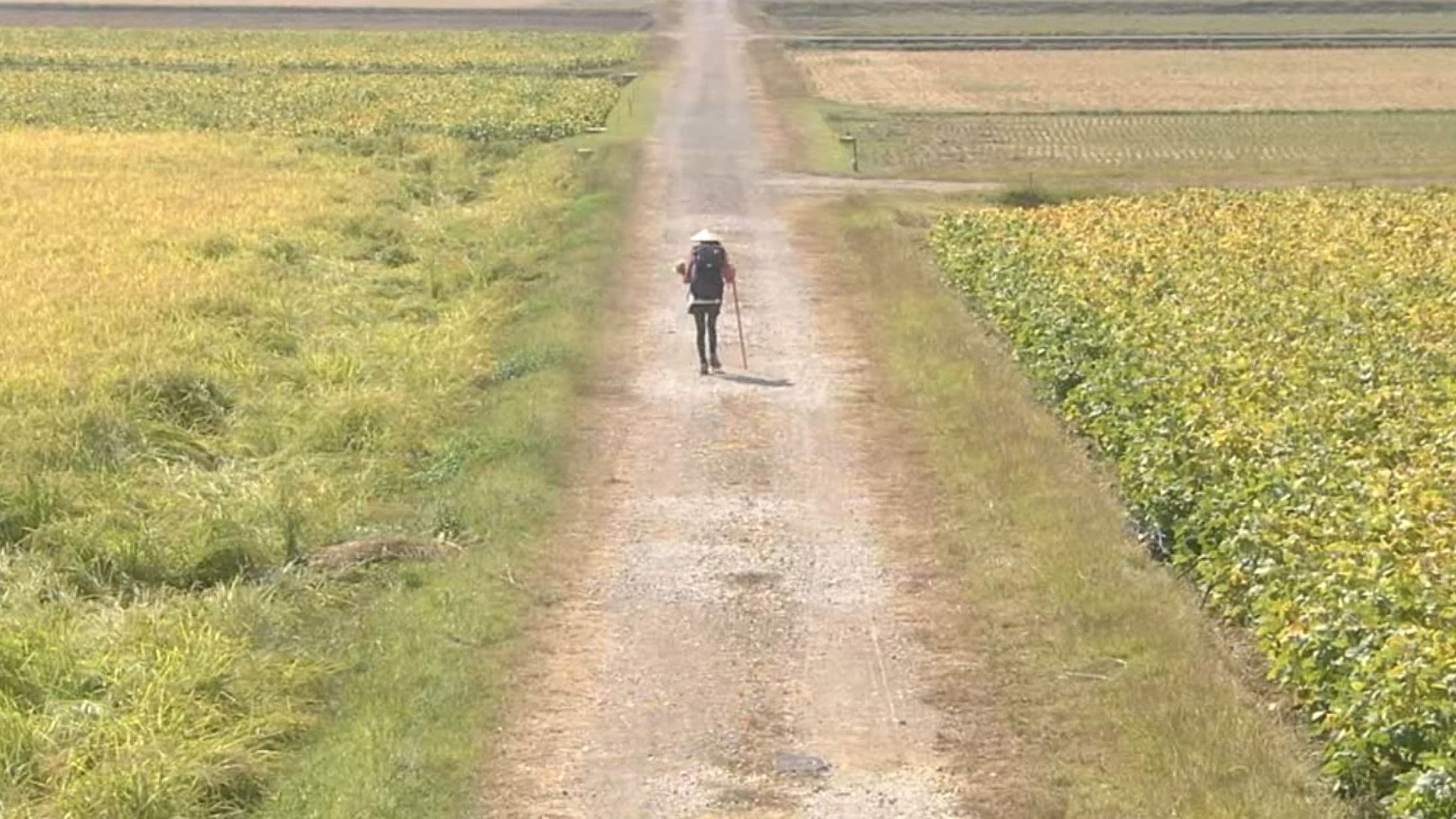 Aruku Aruku Aruku ~Shikoku Henro-michi~ SP