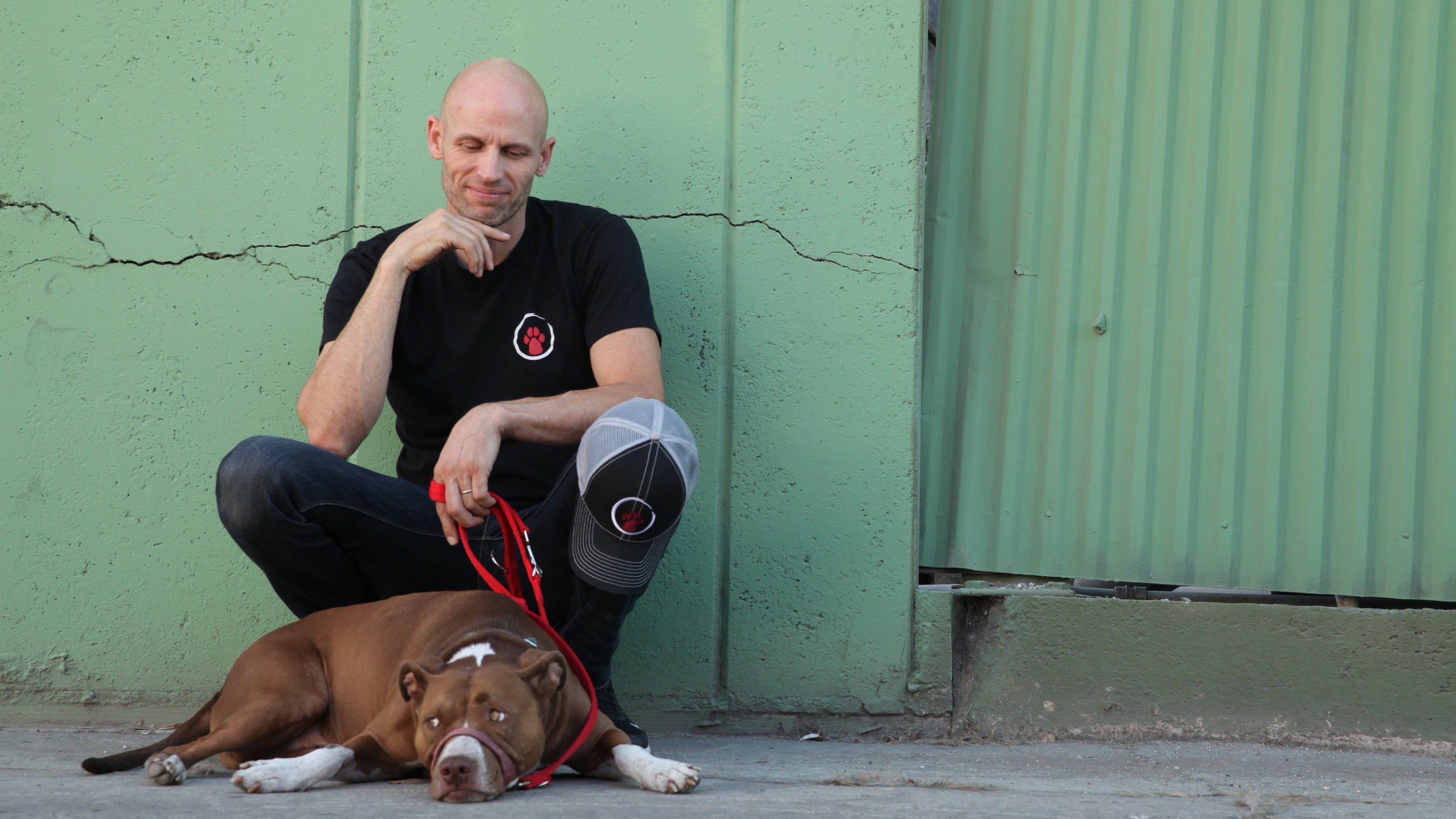 Le Regole del Cane Perfetto