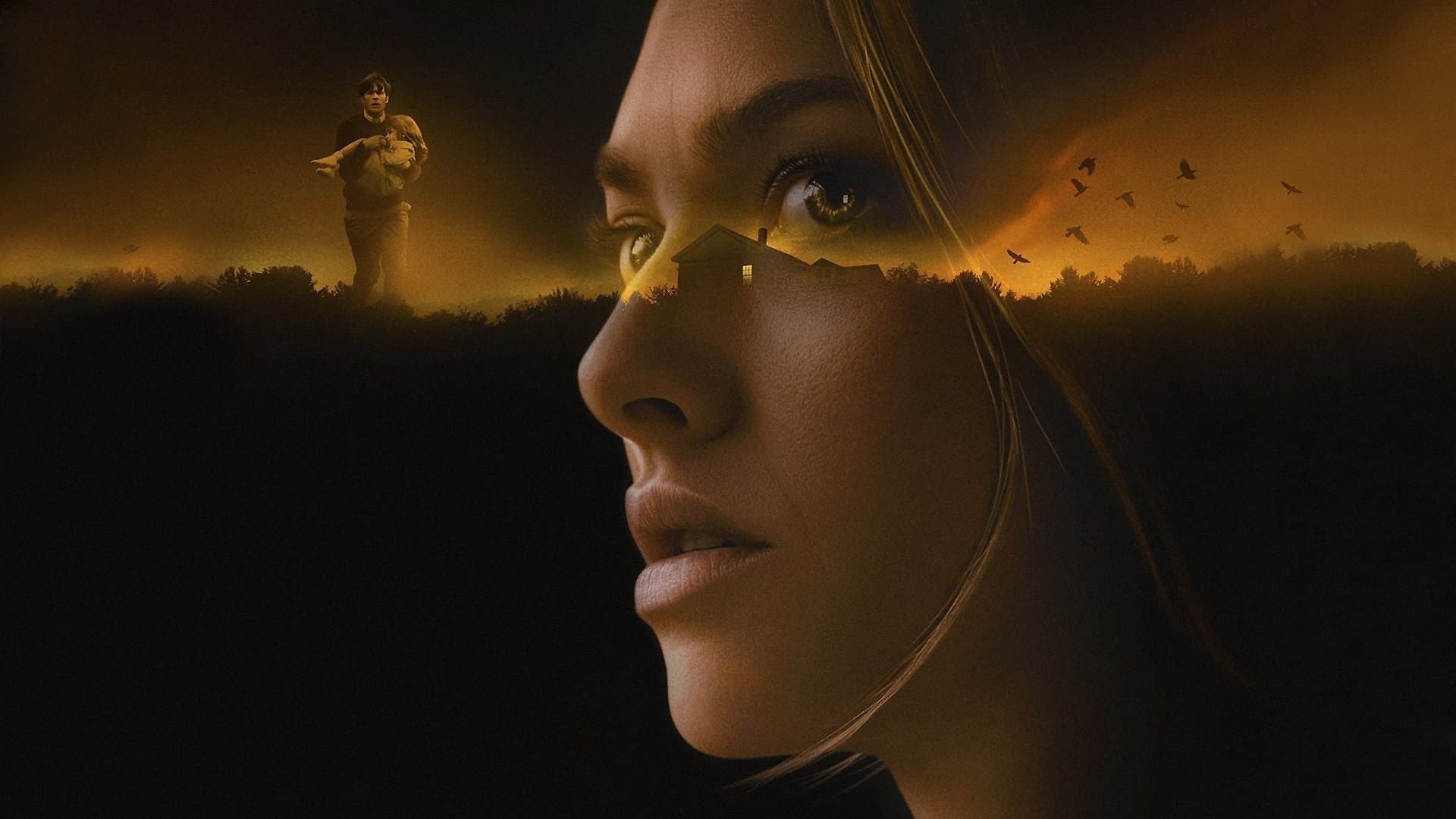 L'apparenza delle cose