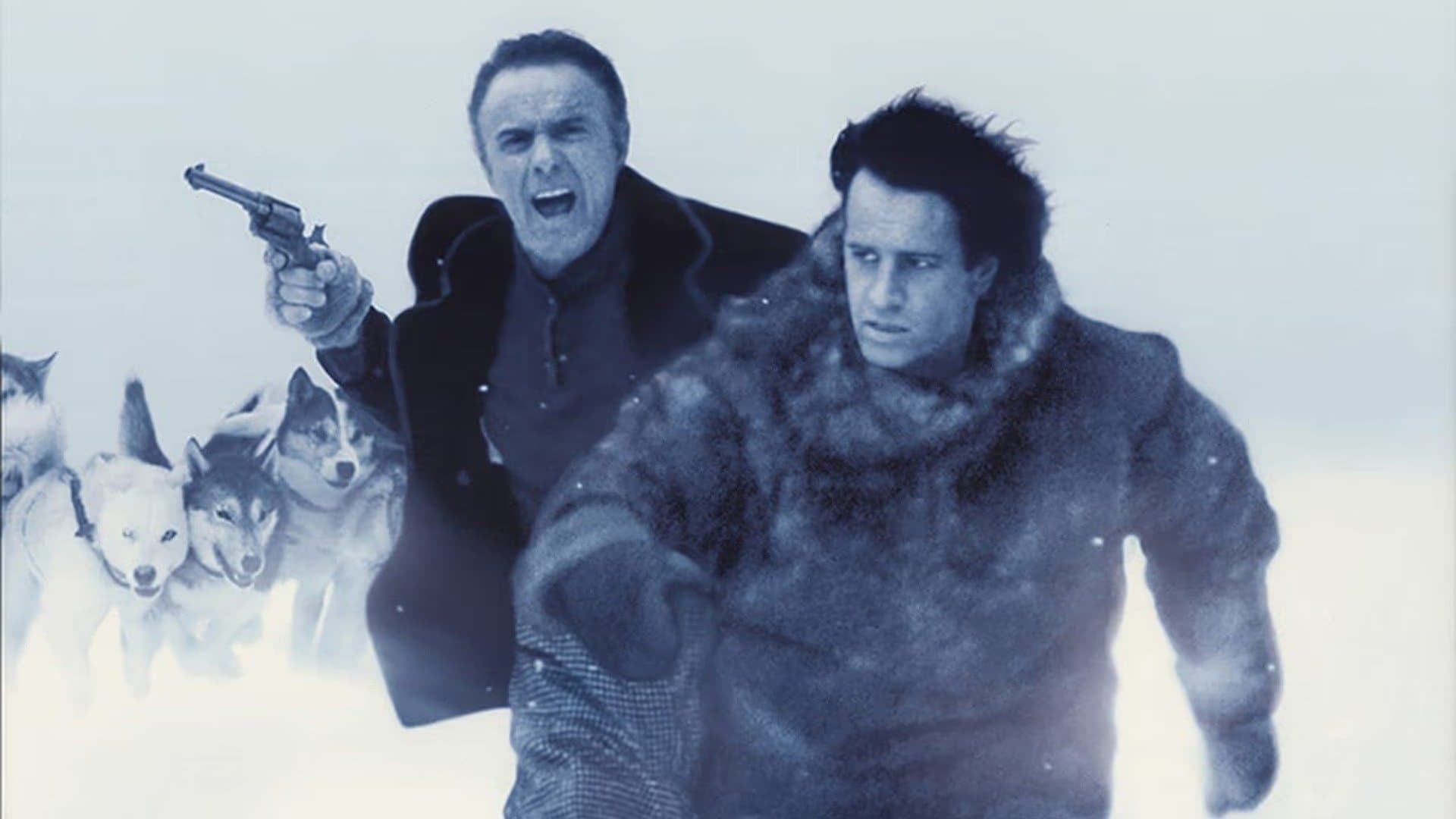 Duello tra i ghiacci