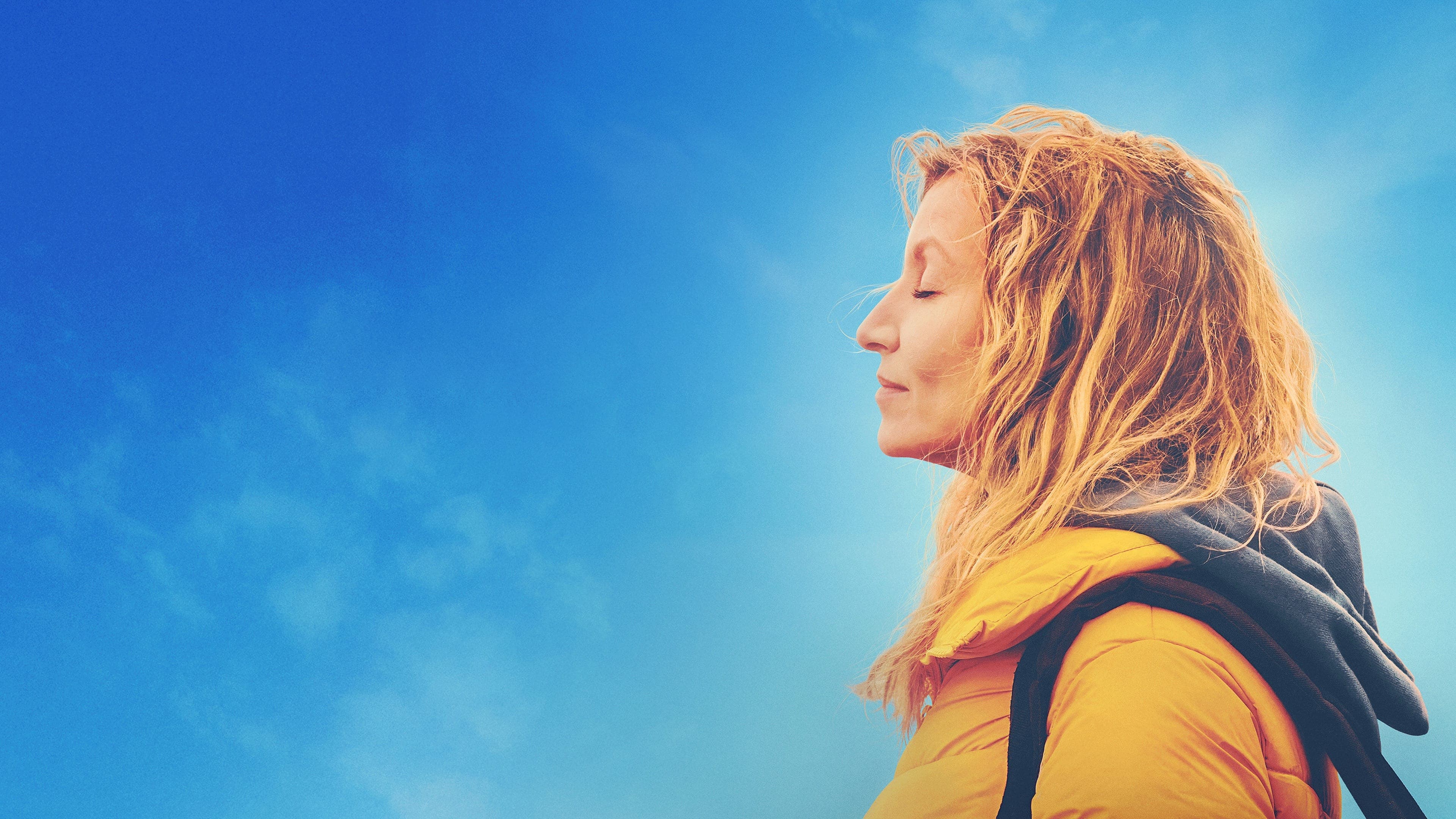 La stanza delle meraviglie