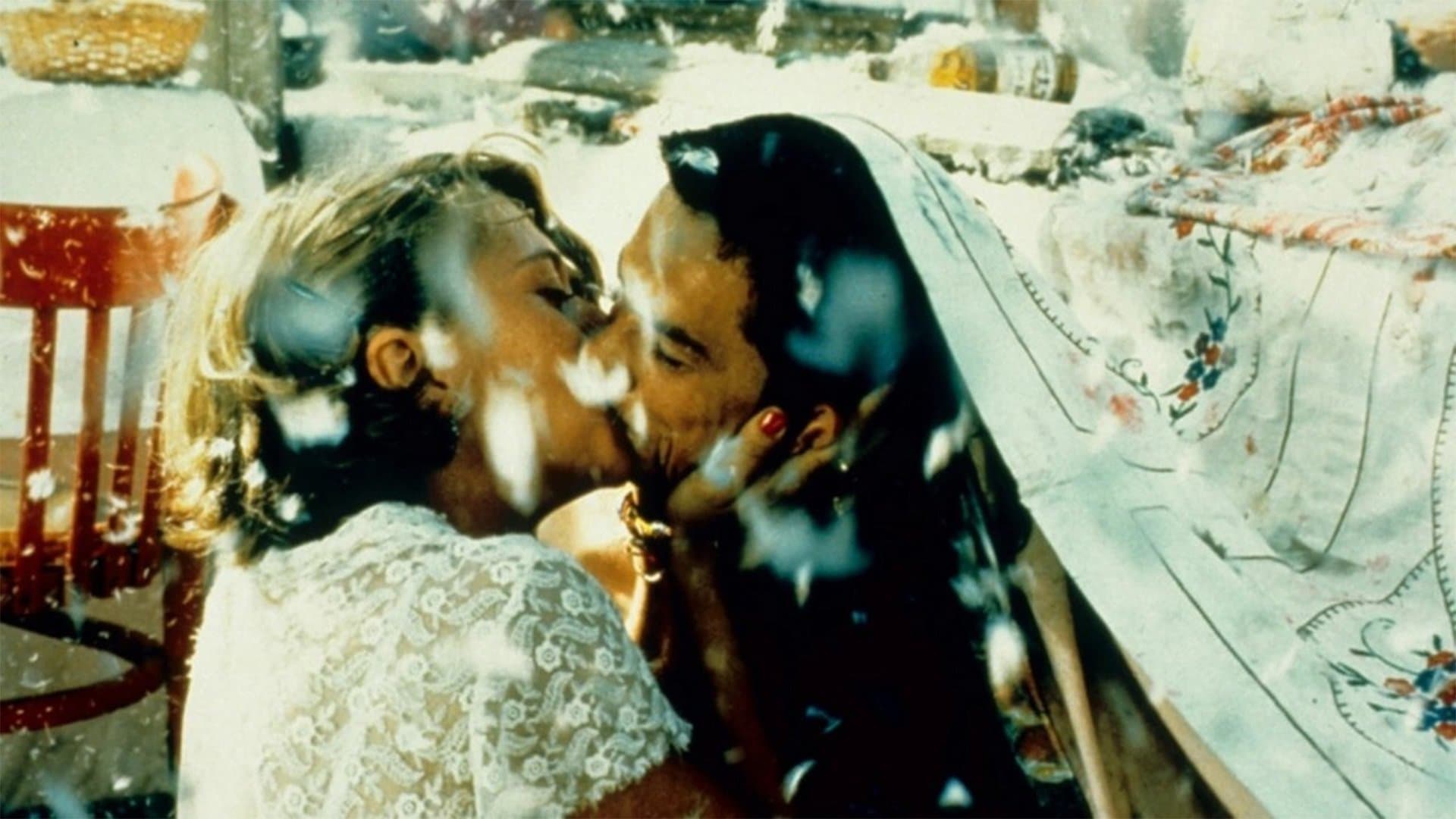 Gatto nero, gatto bianco