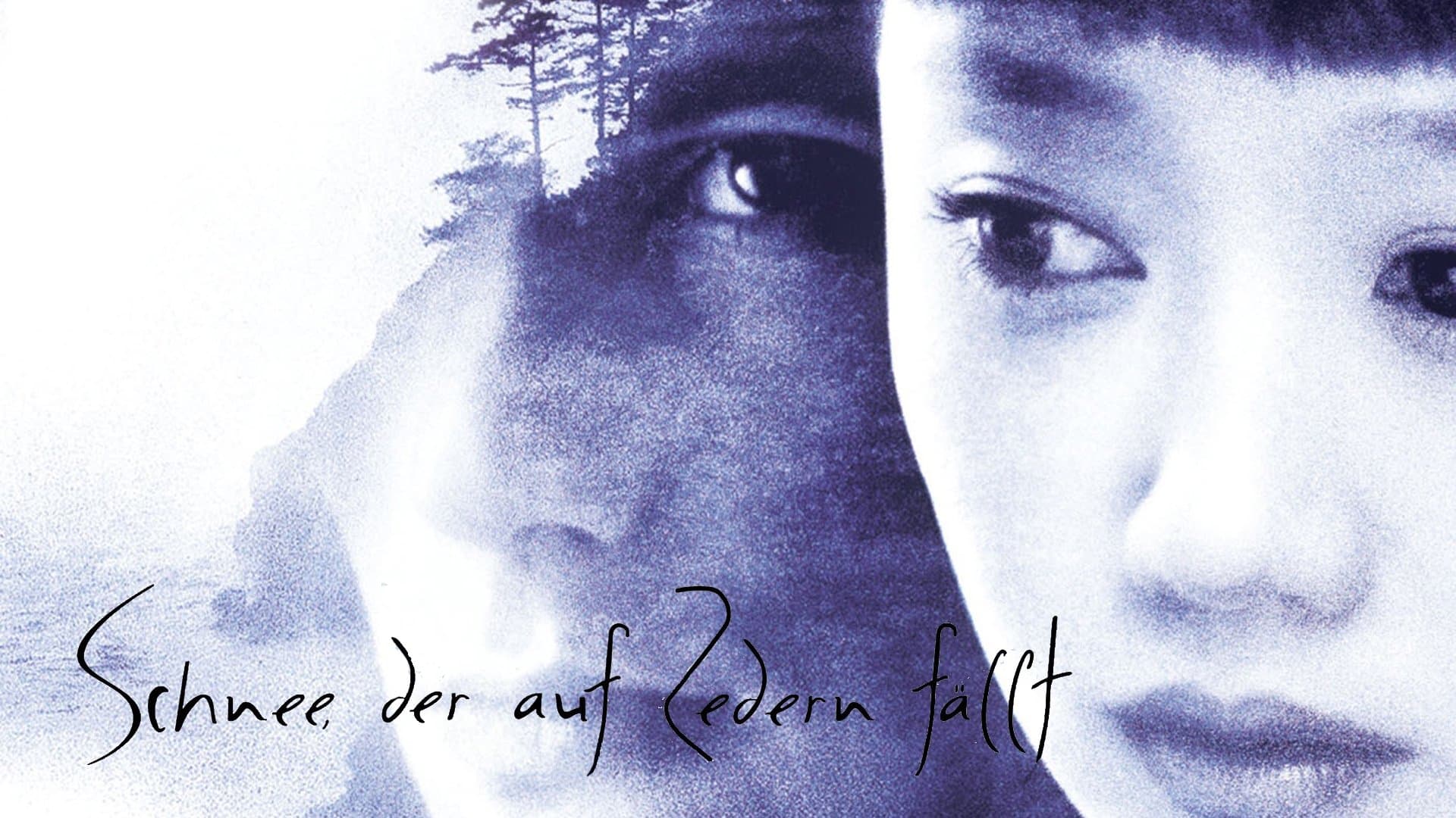 La neve cade sui cedri