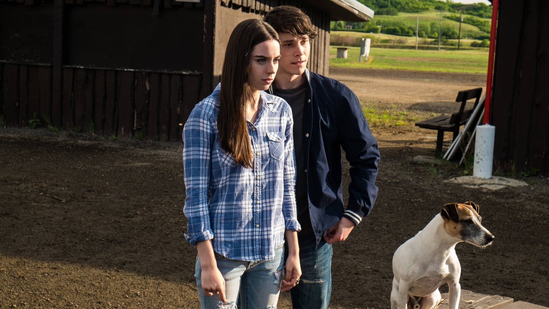 A.R.C.H.I.E. - Un robot a quattro zampe