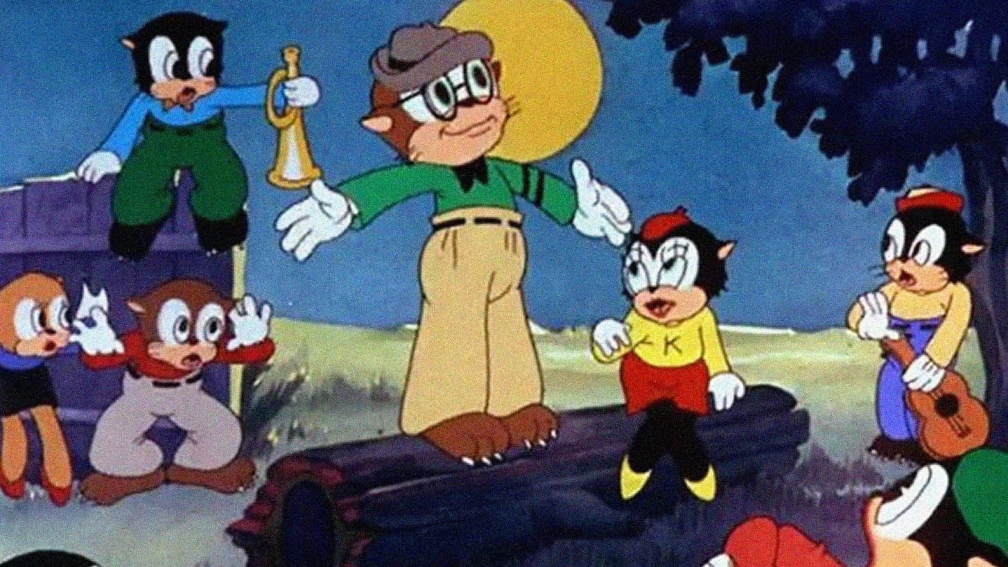 L'università dei gatti