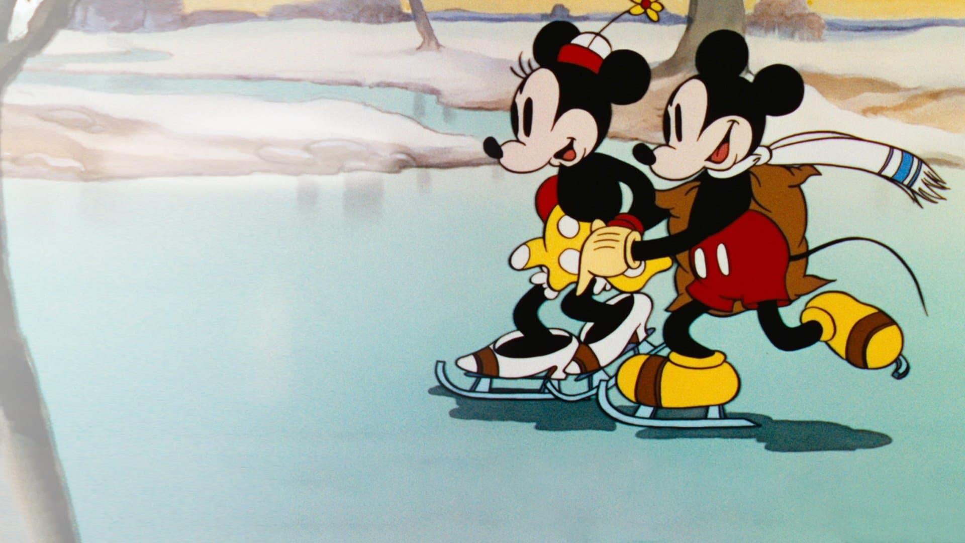 Pattinare che passione