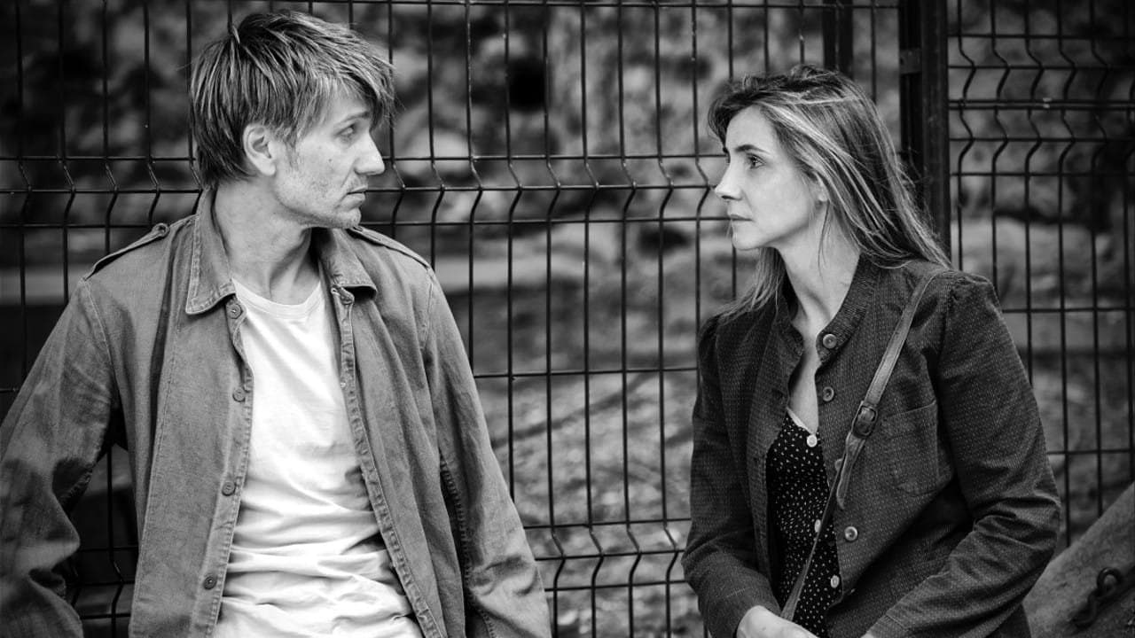 All'ombra delle donne