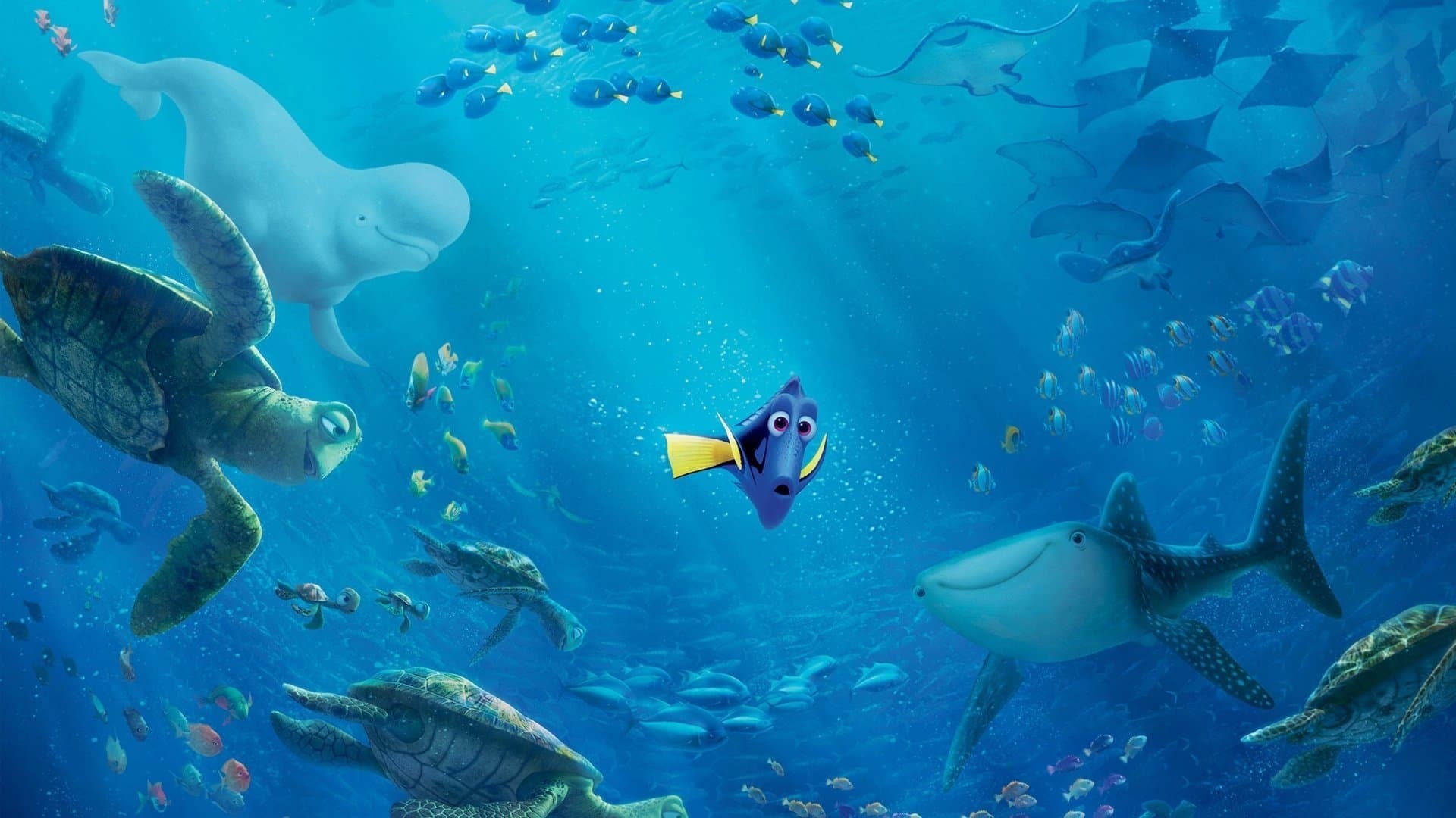 Alla ricerca di Dory