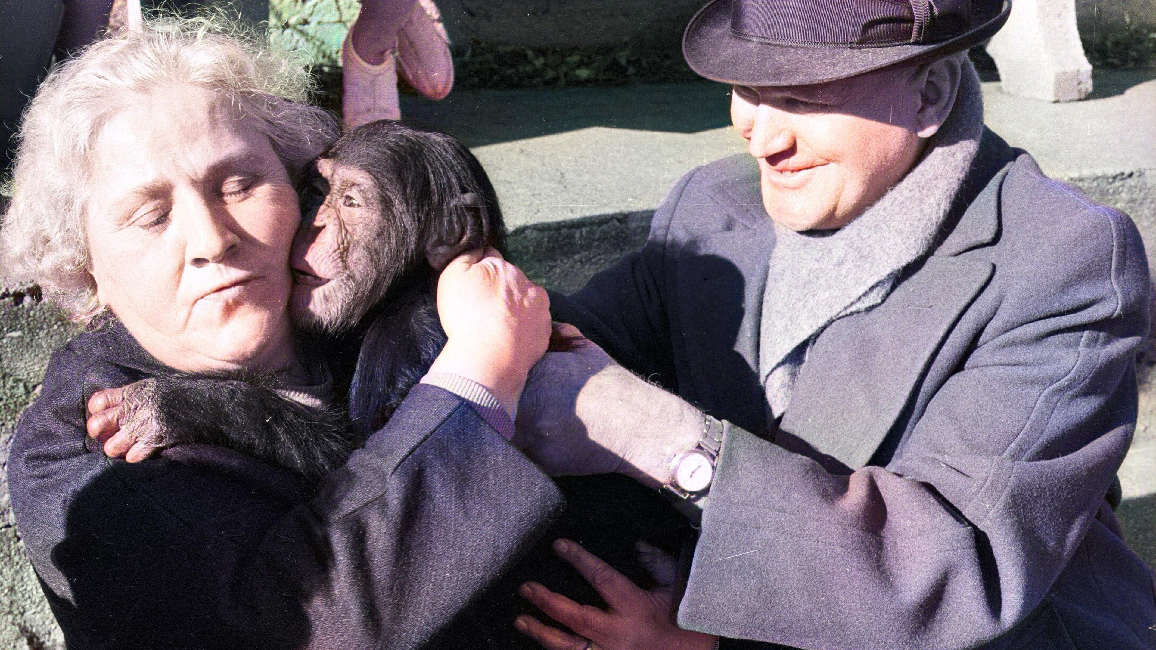 Il paese del silenzio e dell'oscurità