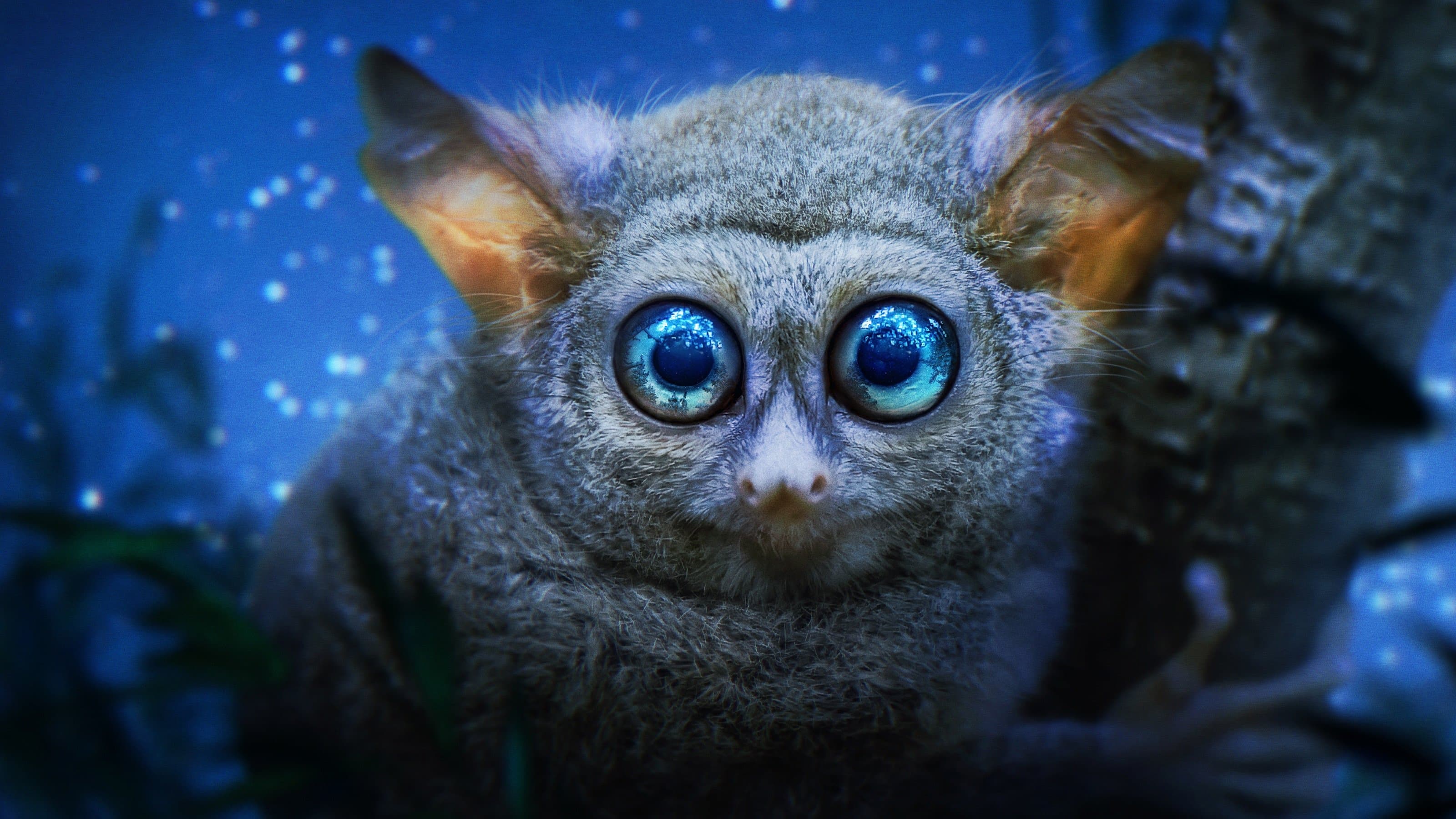 Il pianeta notturno a colori