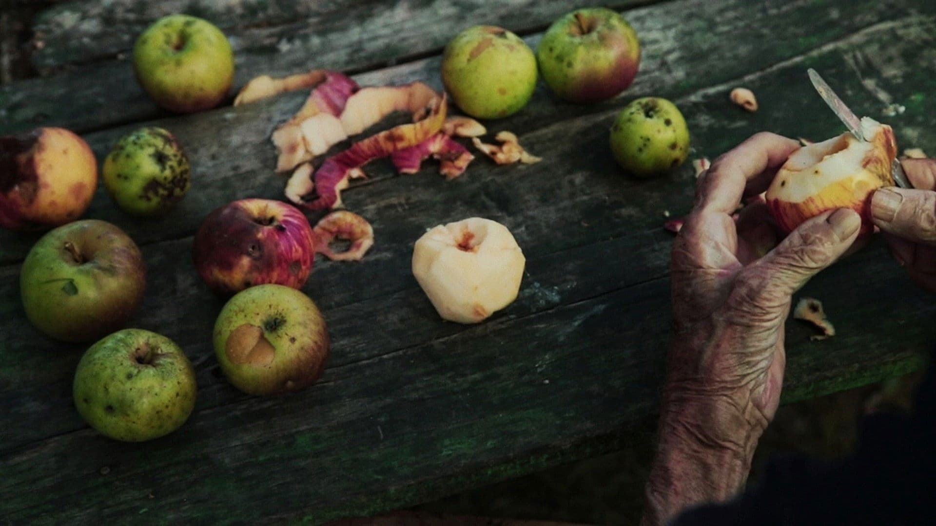 A sad se spušta večе