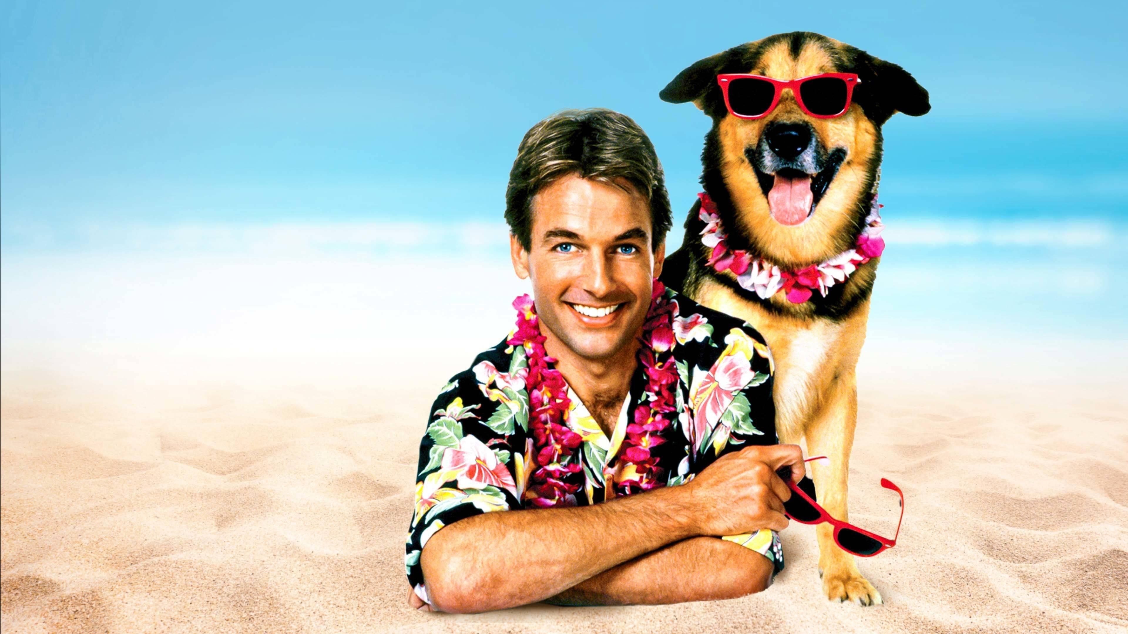 Summer School - Una vacanza da ripetenti