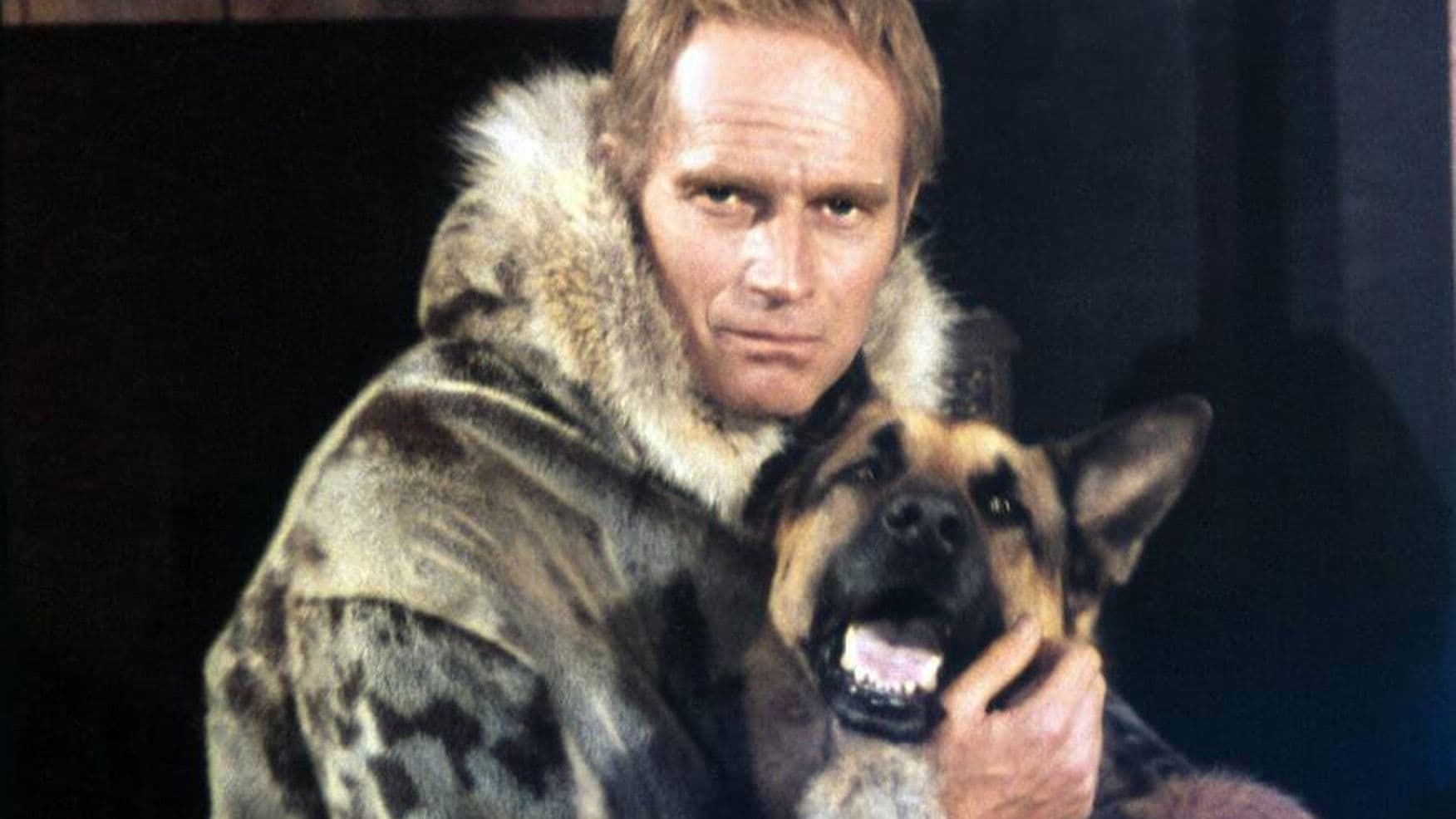 Il richiamo della foresta