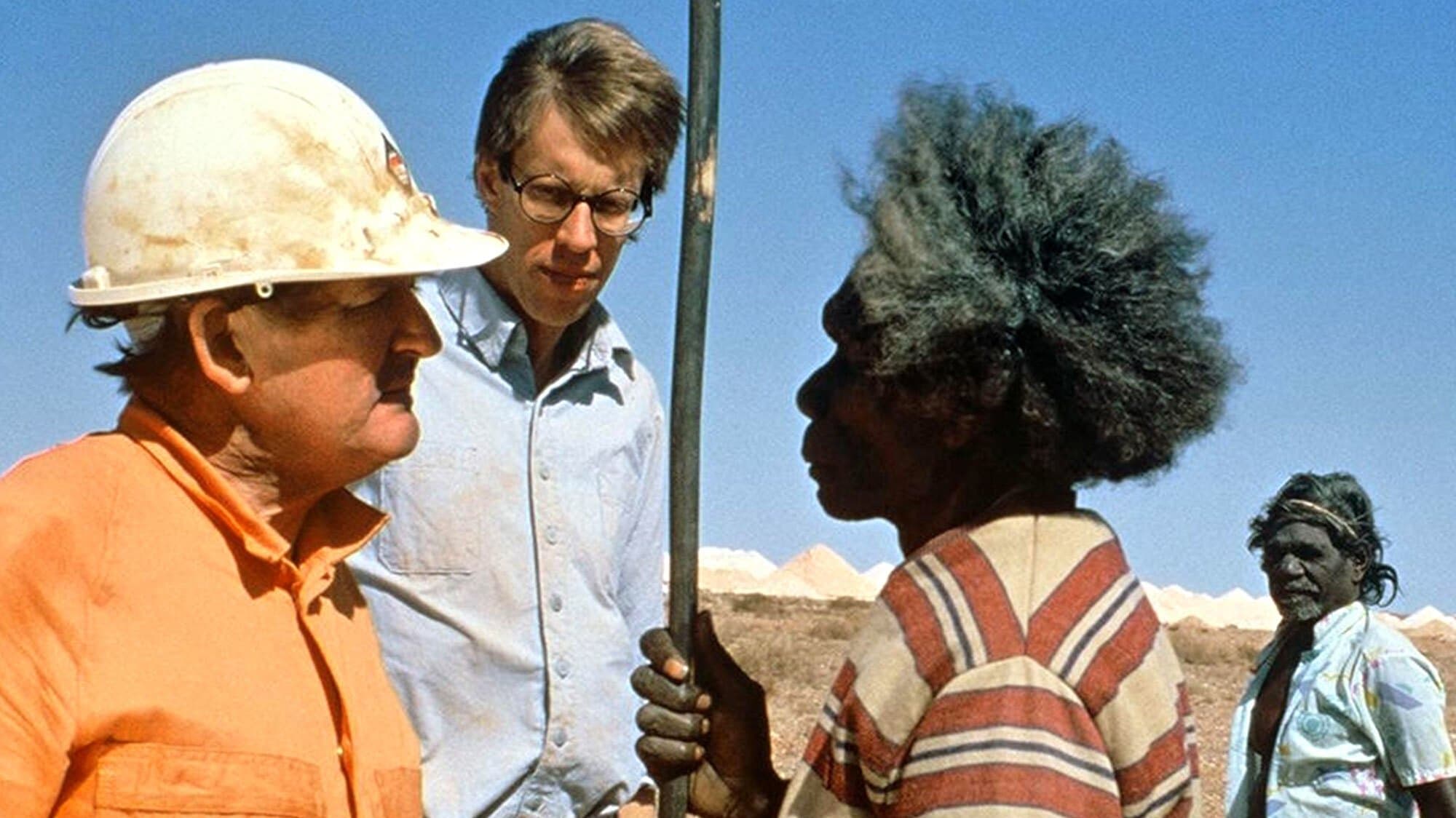 Dove sognano le formiche verdi