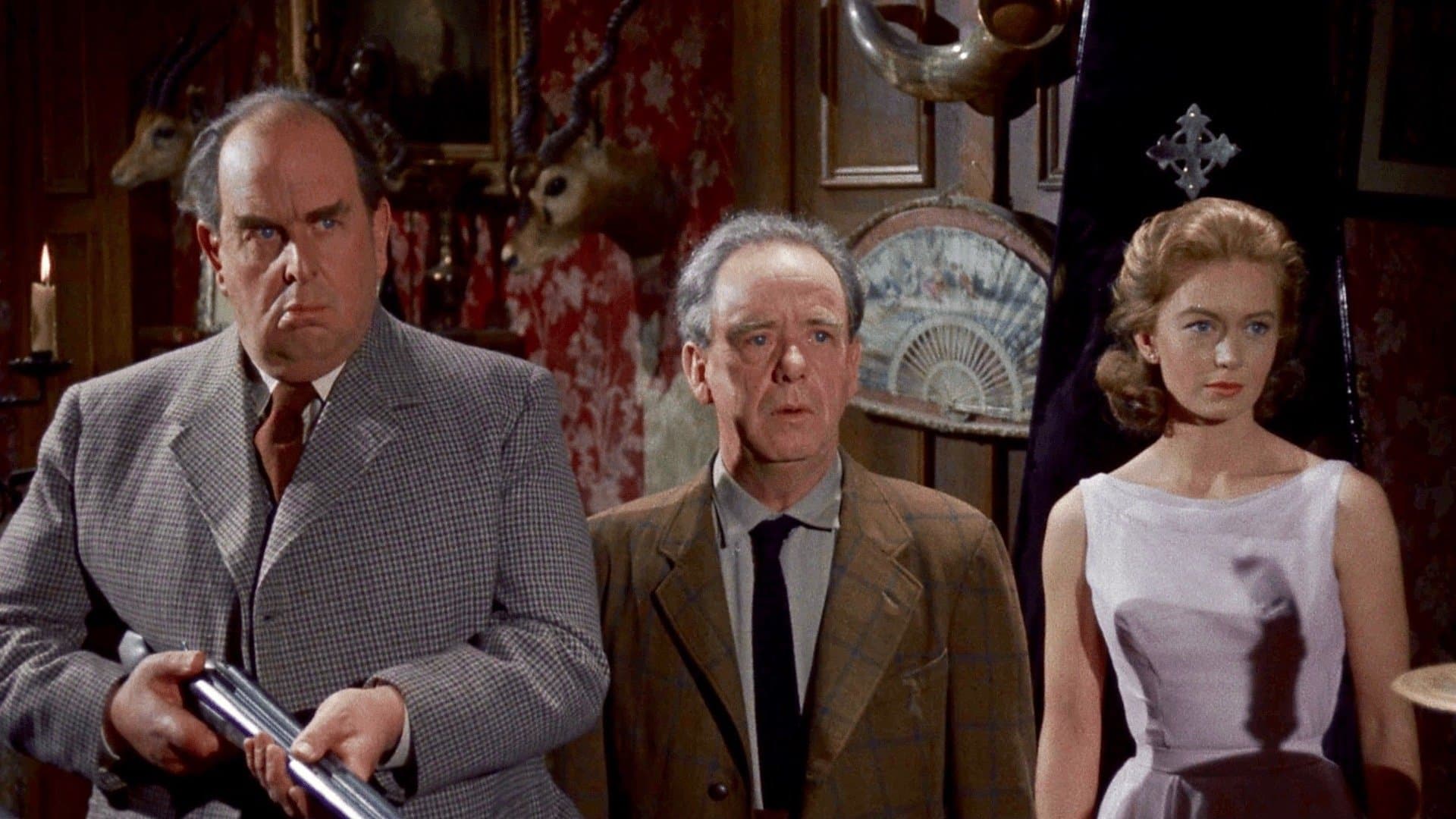 Il castello maledetto