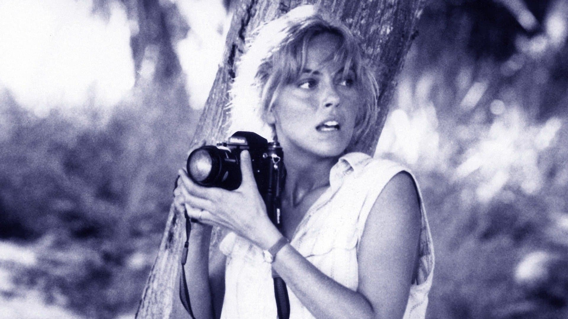 La spiaggia delle tartarughe