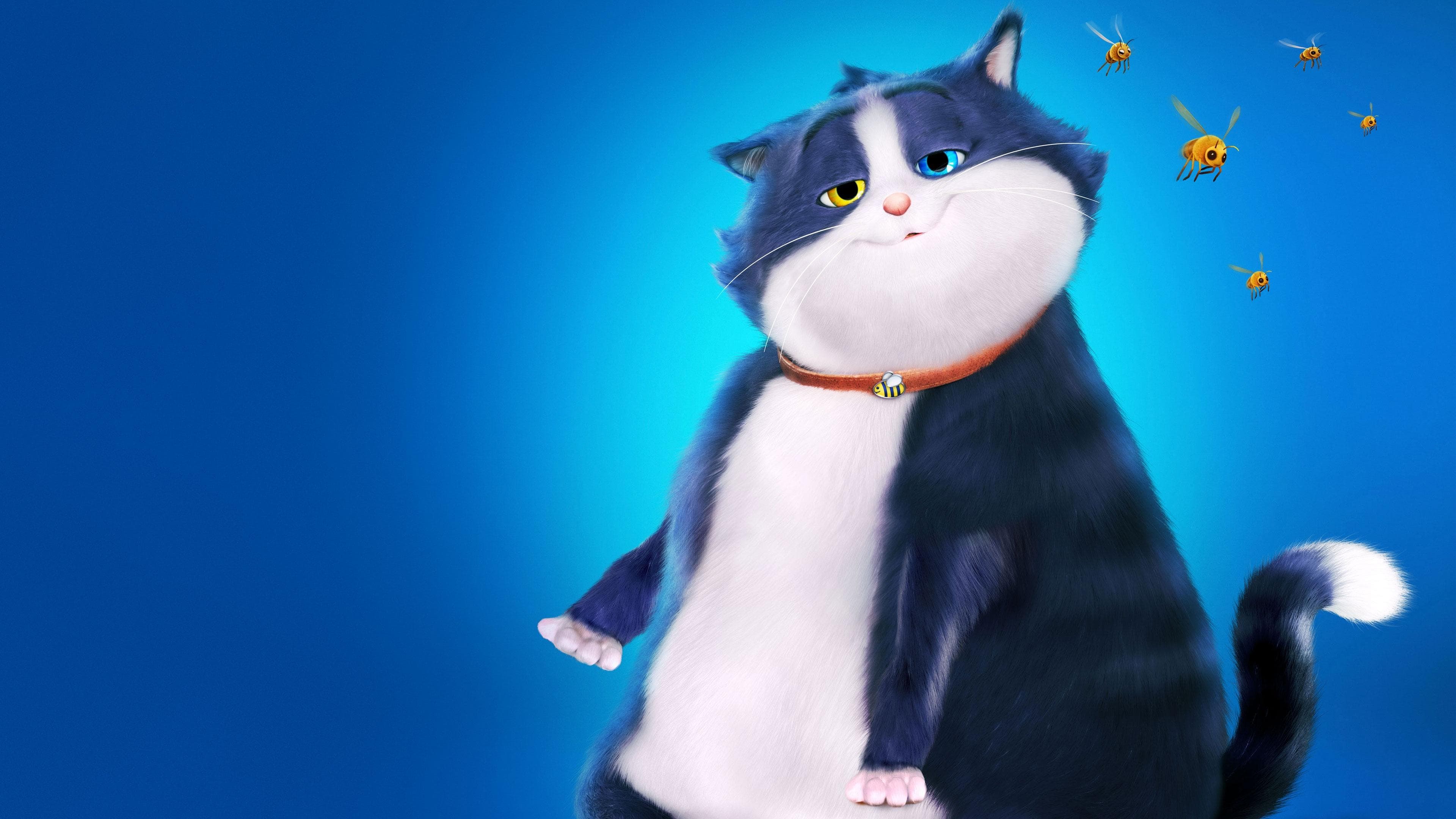 10 Lives - Un gatto fortunato