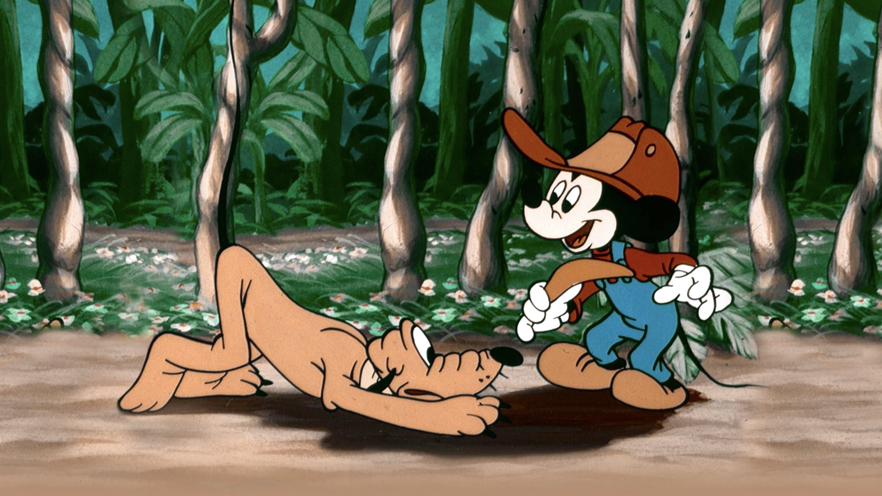 Topolino in Australia