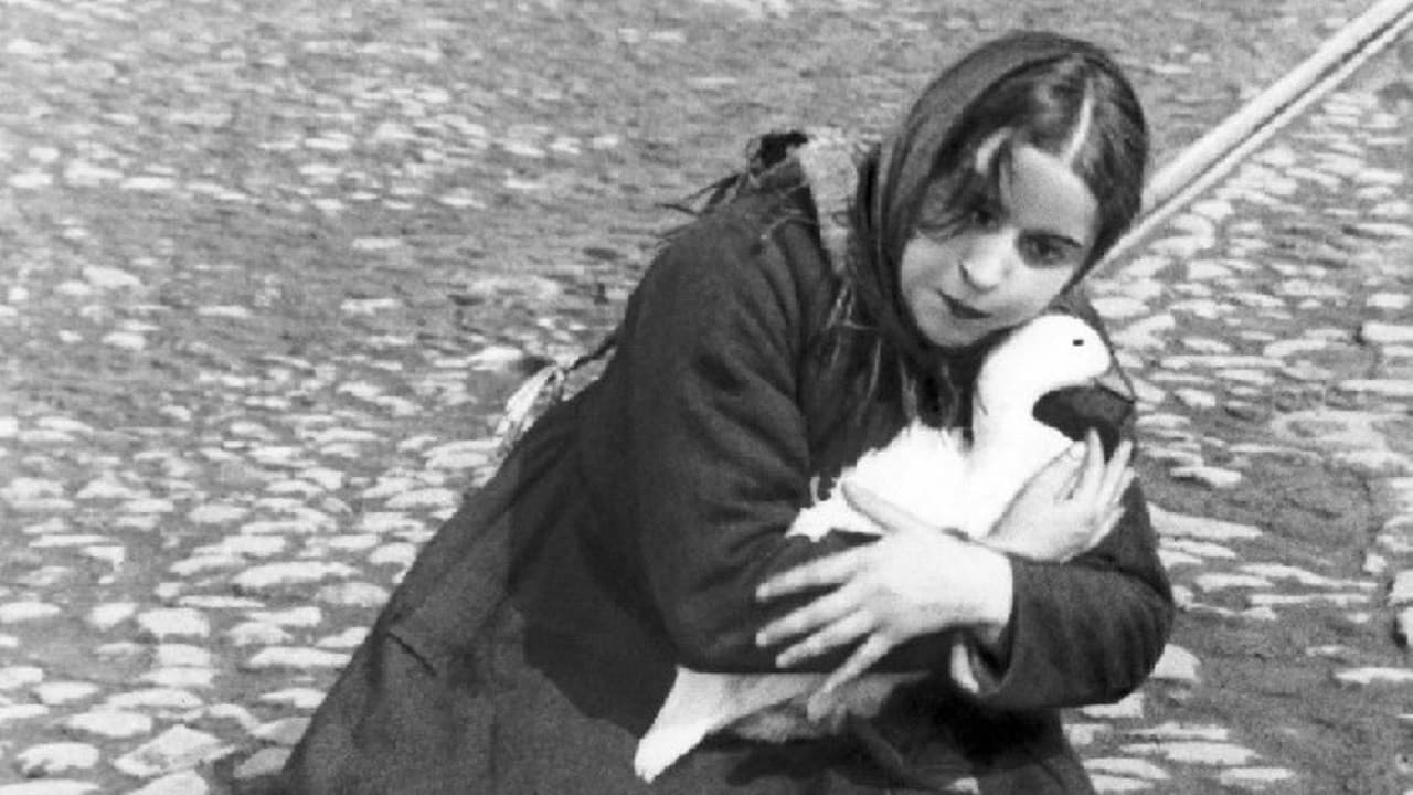 La casa sulla Trubnaja