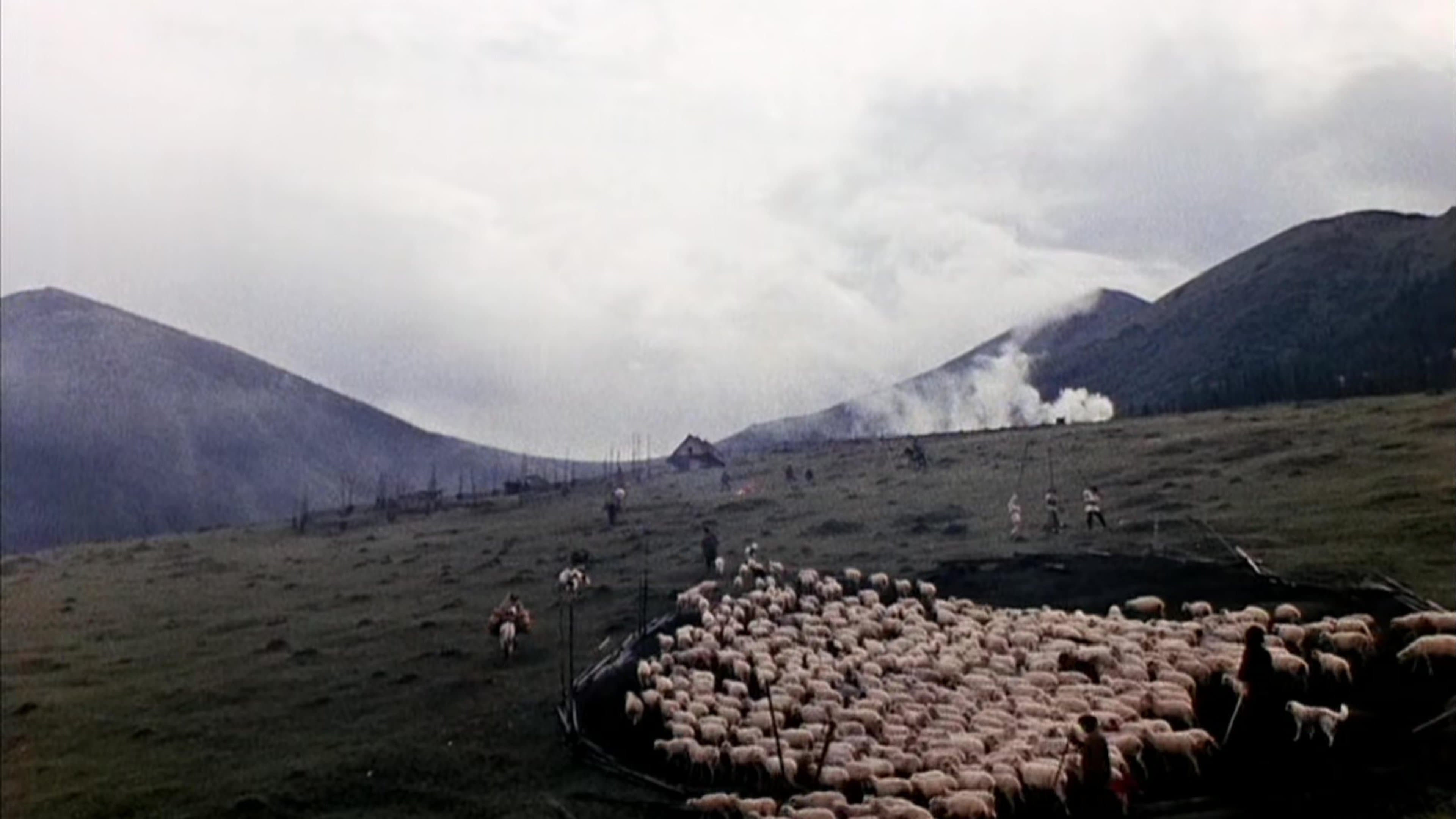 Le ombre degli avi dimenticati