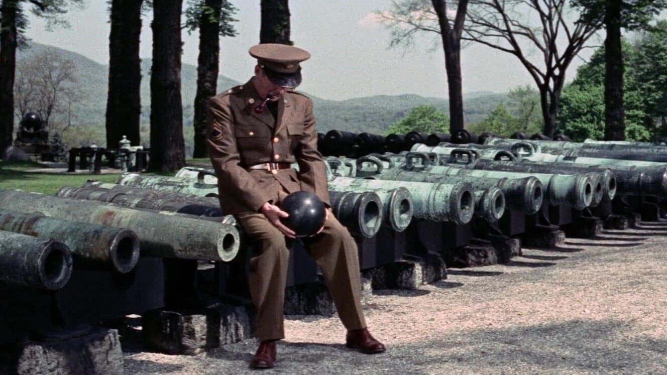 La lunga linea grigia