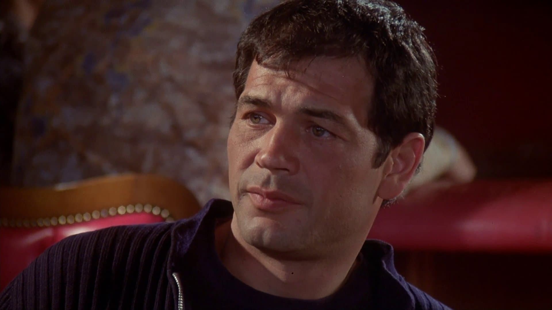 Stunts, il pericolo è il mio mestiere