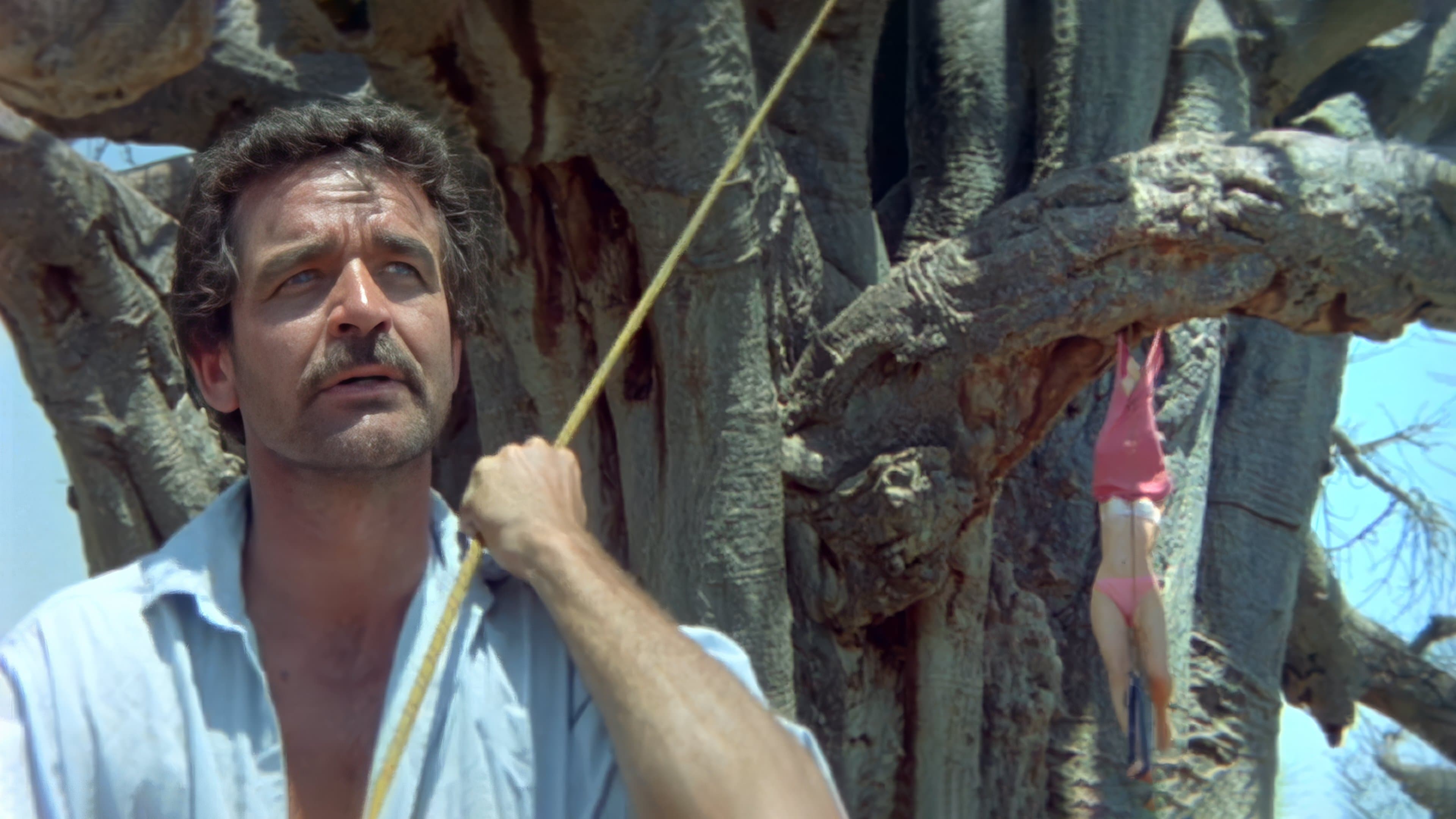 Lassù qualcuno è impazzito