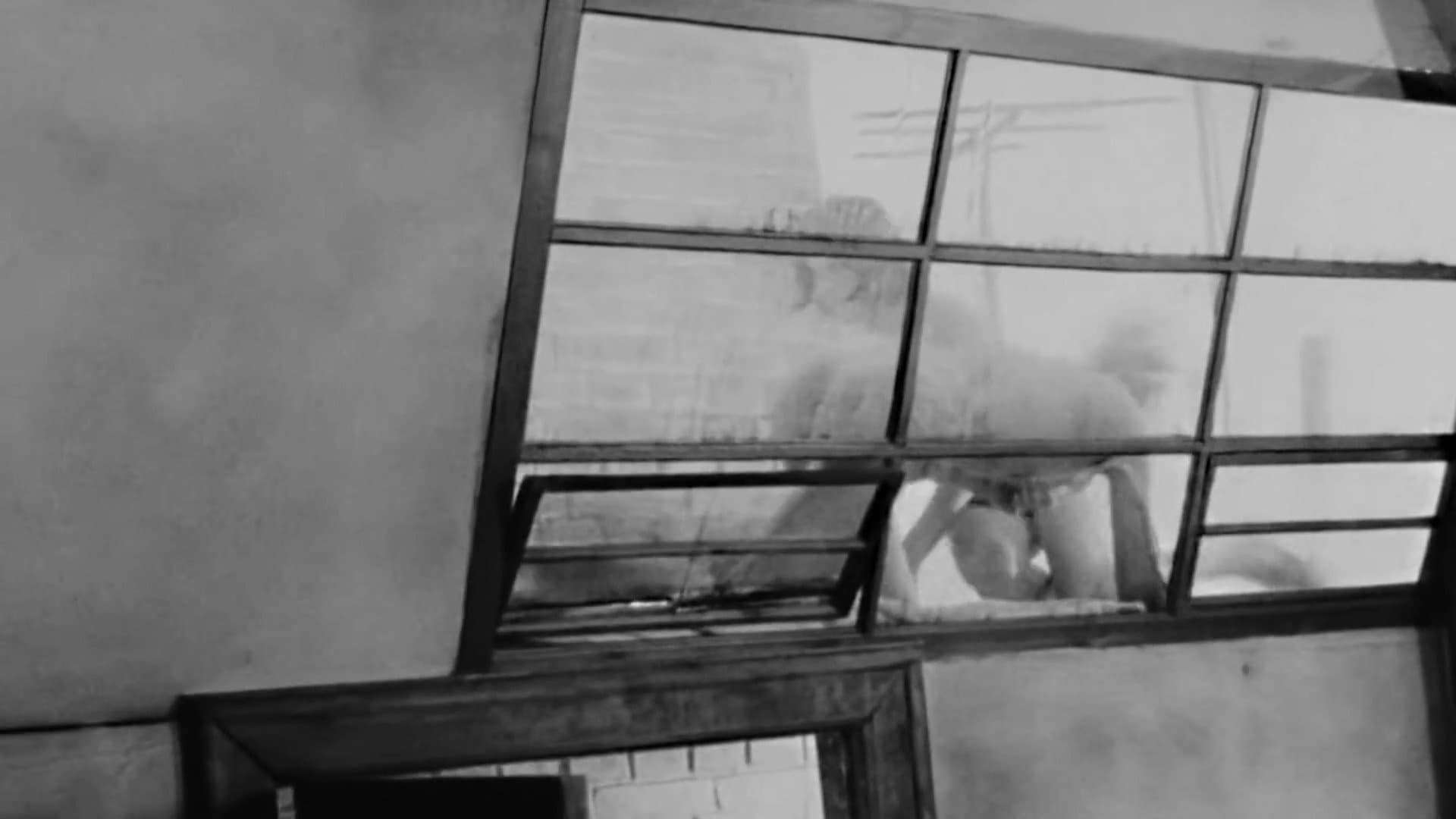 Segni particolari: nessuno