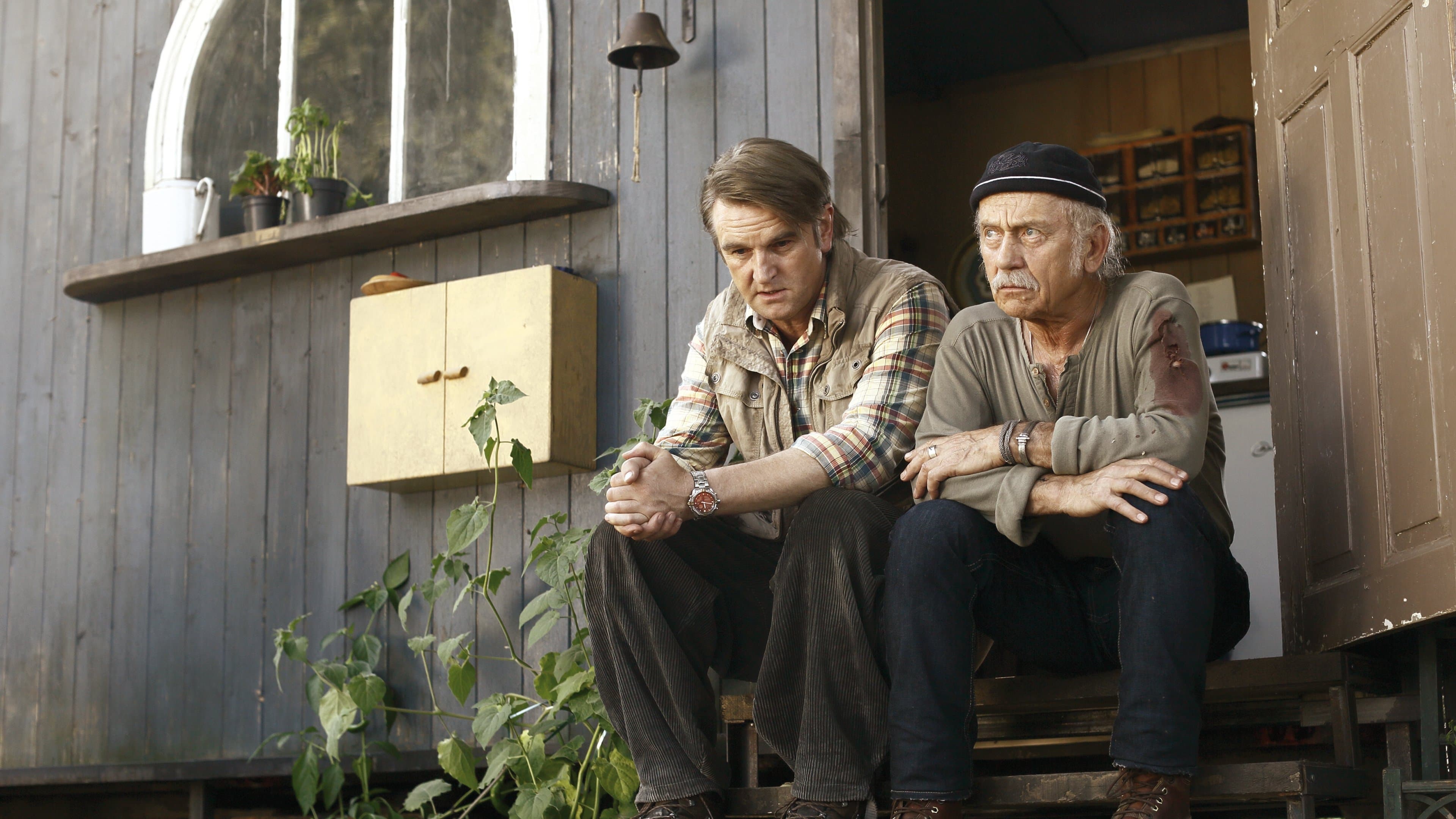 Windstorm - Liberi nel vento