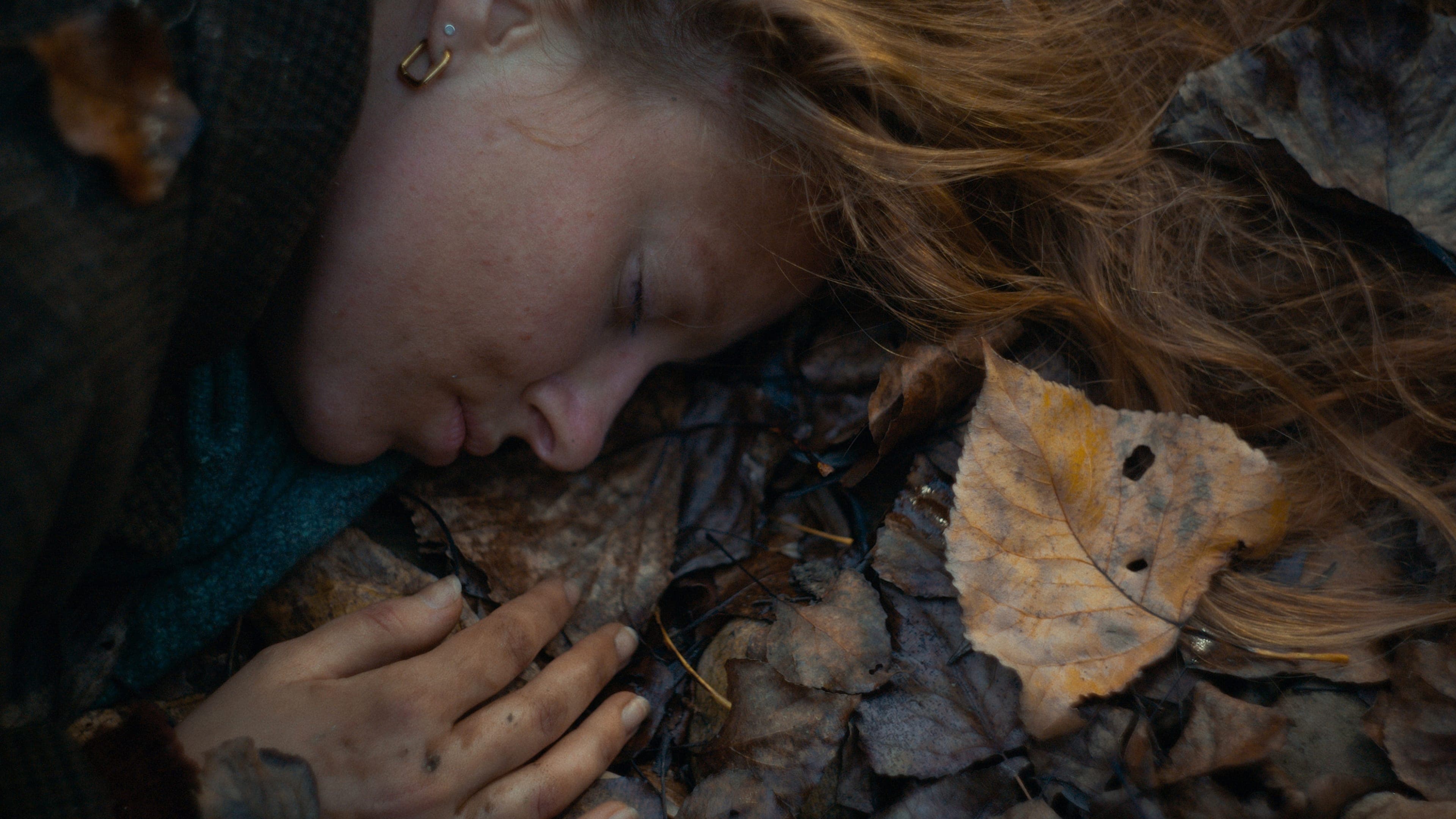 Trifole - Le radici dimenticate