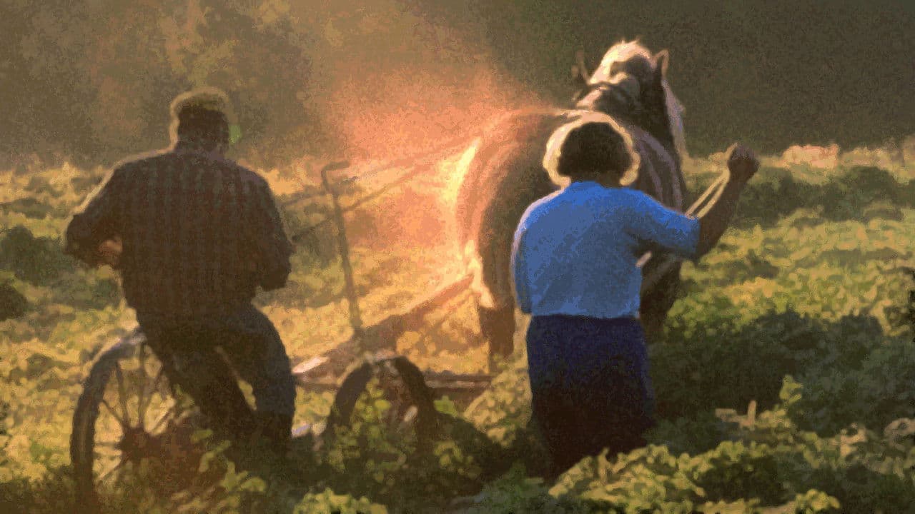 Bondens tid på jorden