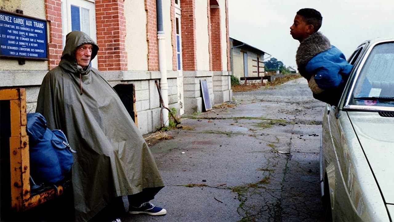 IP5: L'île aux pachydermes