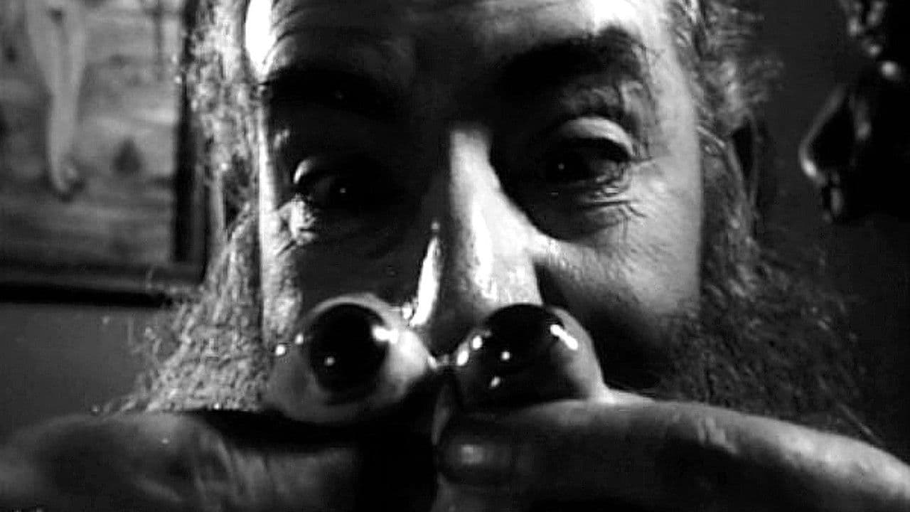 Lo strano mondo di Zé do Caixão