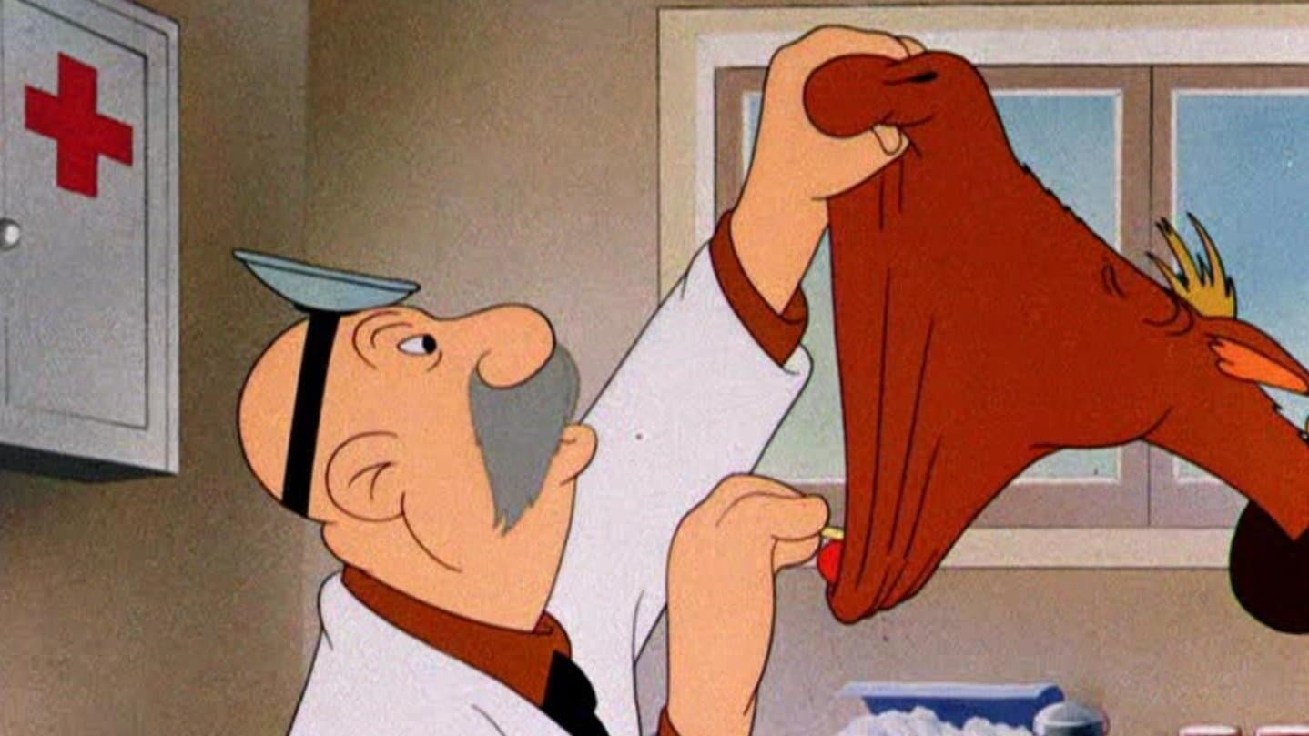 Un cavallo sotto le armi