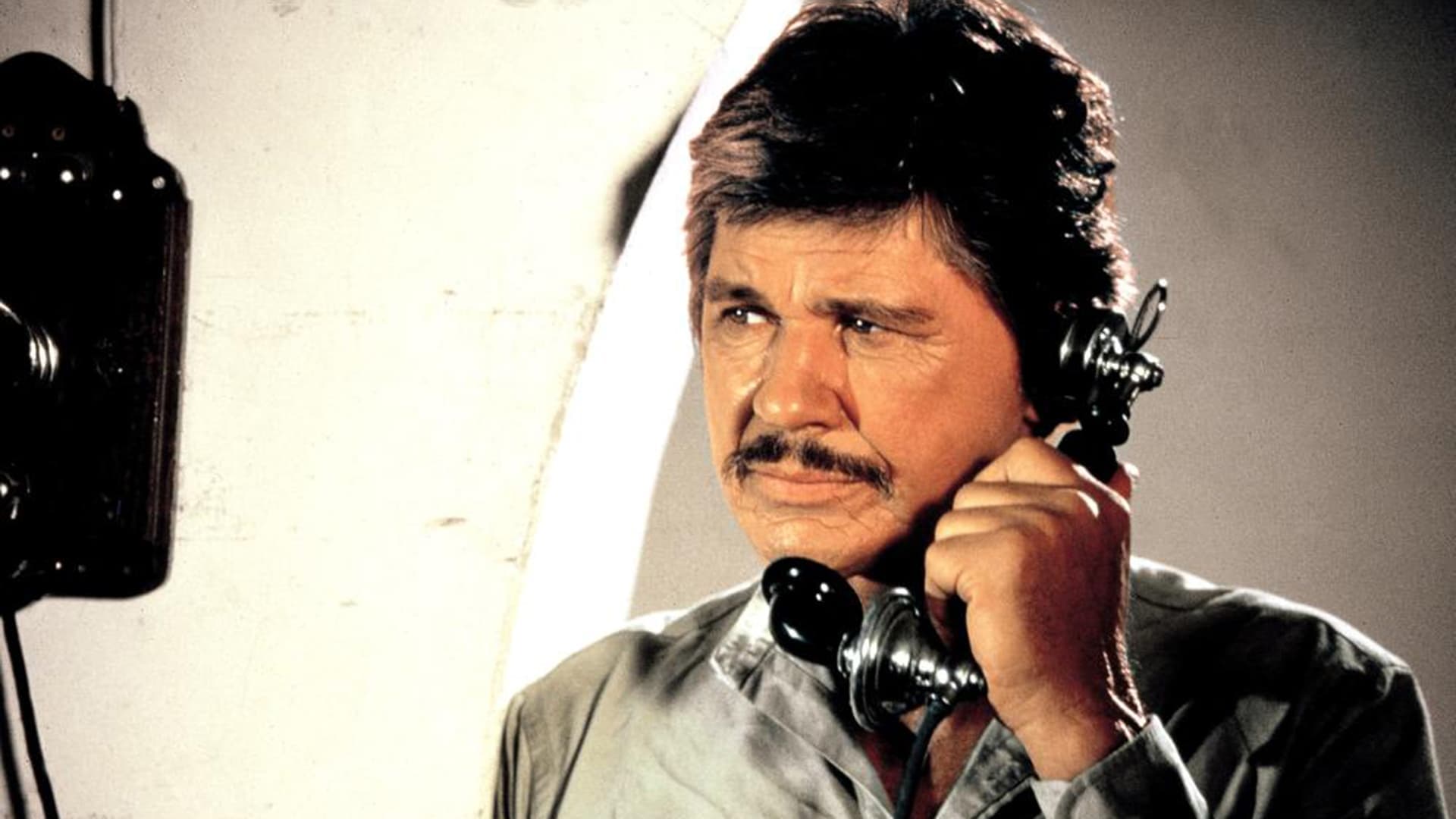 Professione giustiziere