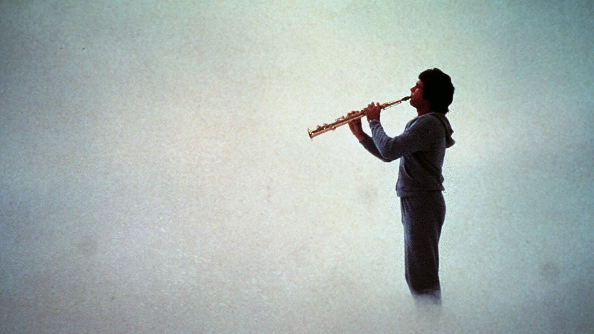 Il paradiso può attendere