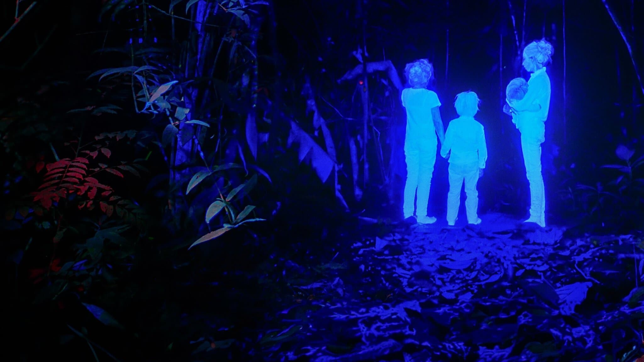 Los niños perdidos: 40 giorni nella foresta