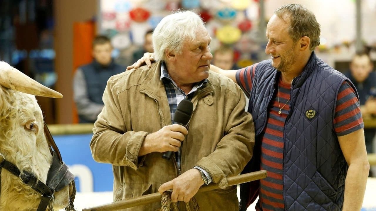 Saint Amour - La strada del vino verso l'amore