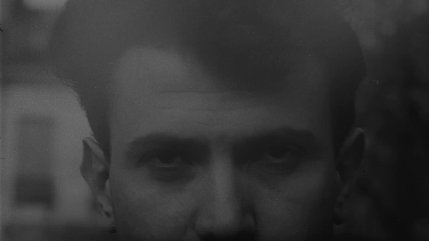 Trattato di Bava e d’Eternità