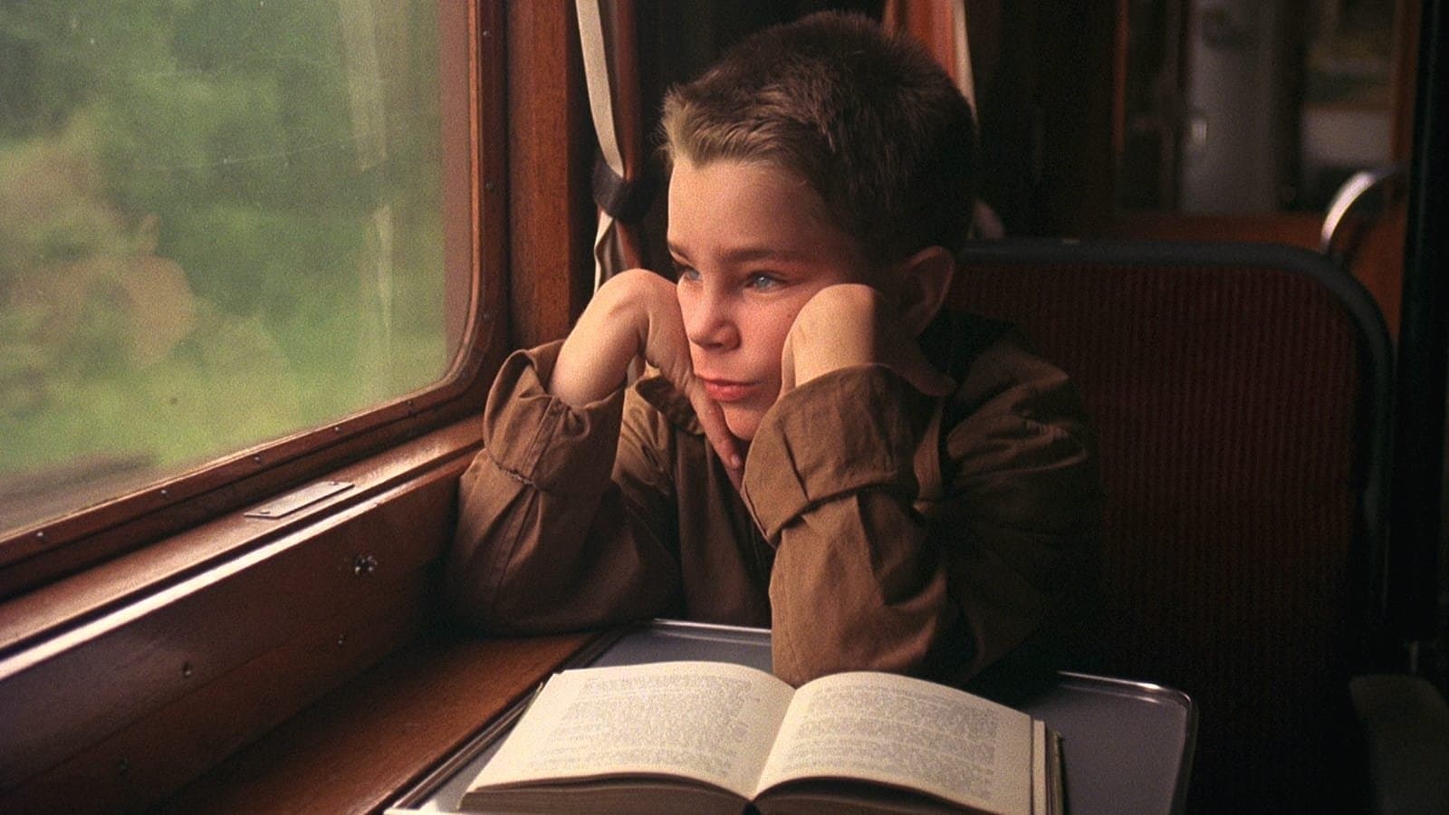 La mia vita a quattro zampe