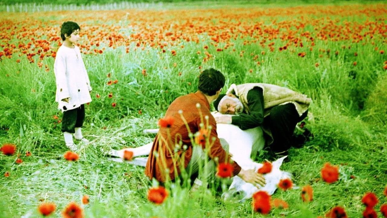 L'albero dei desideri