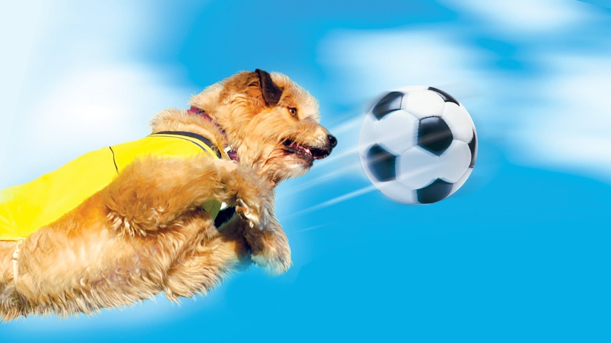 Soccer Dog - Asso del pallone