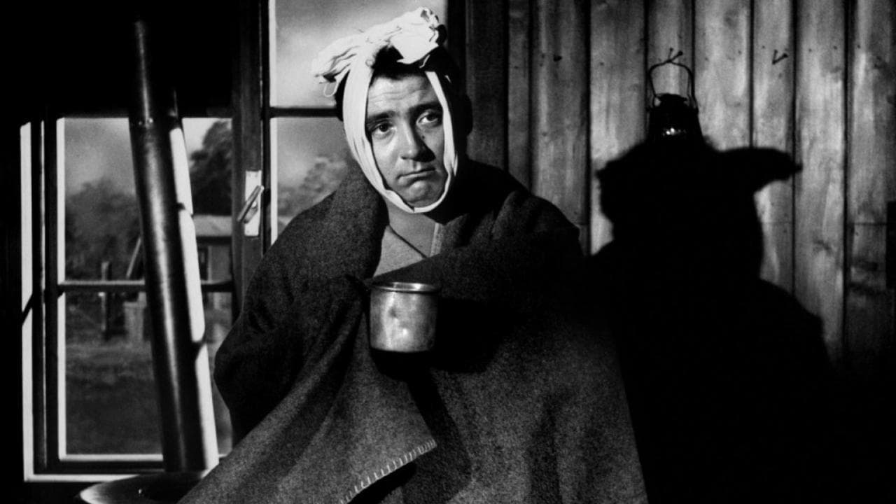 Le strane licenze del caporale Dupont