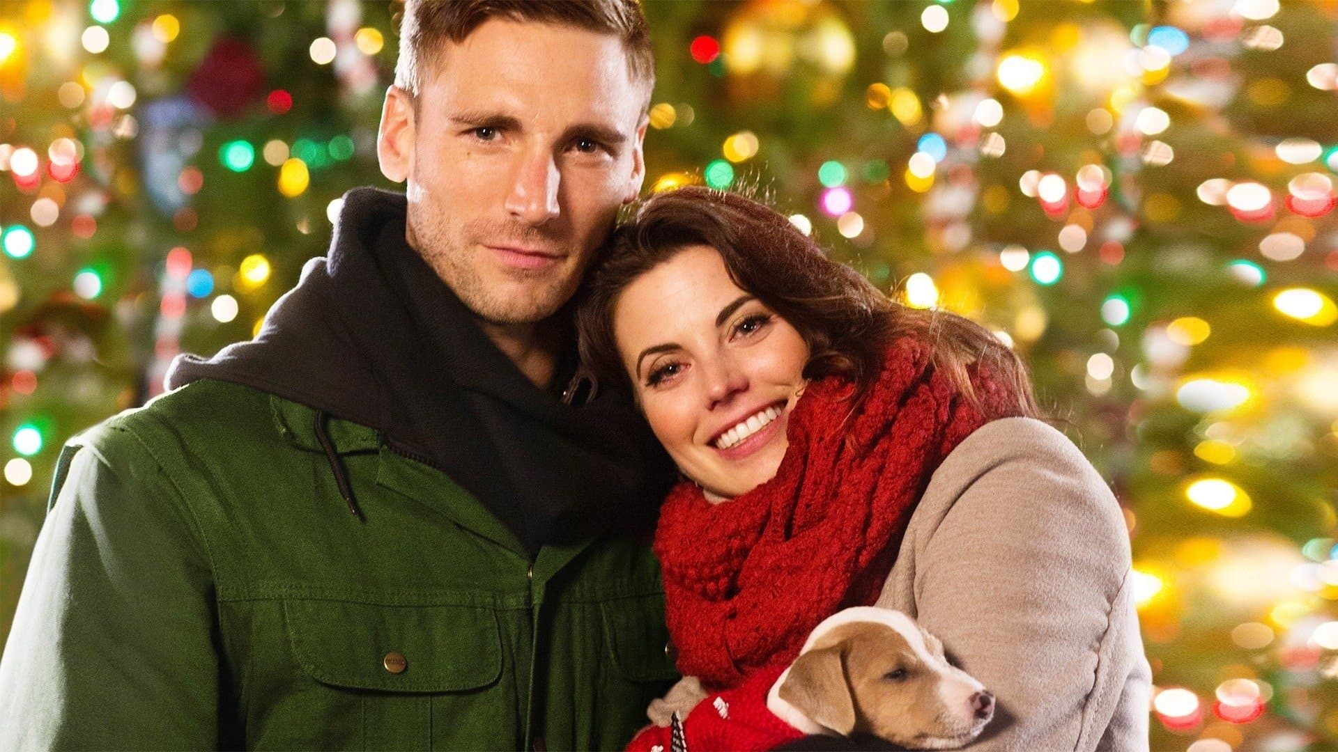 Quel complicato viaggio di Natale