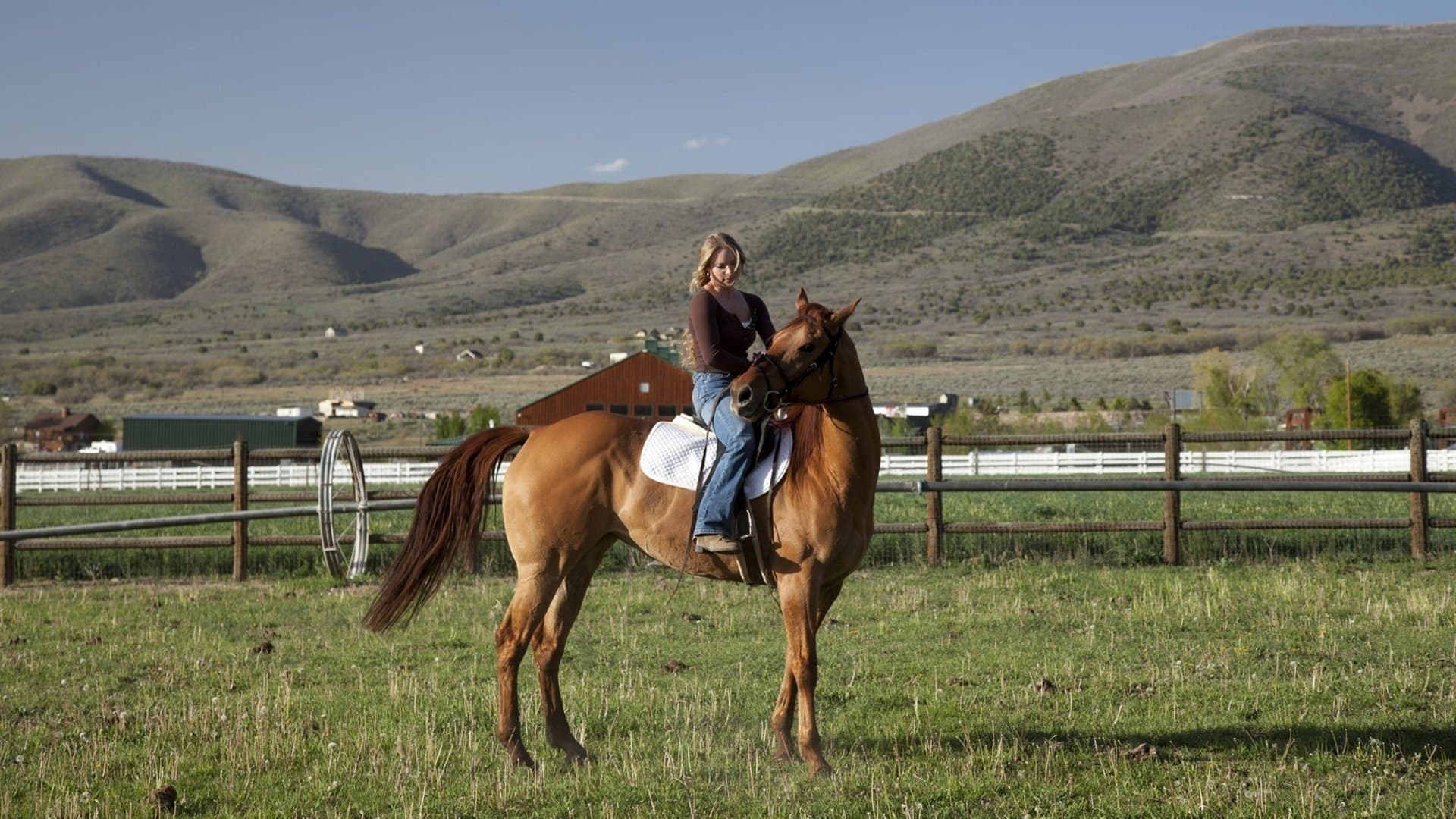Storm Rider - Correre per vincere