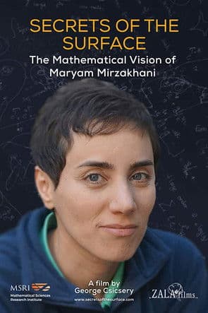 Segreti delle superfici, la visione matematica di Maryam Mirzakhani