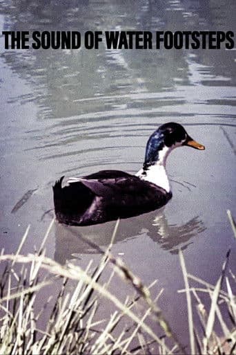 The Sound of Water Footsteps
