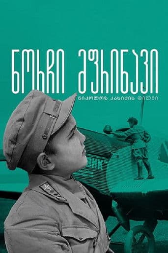 Gogi - The Young Pilot