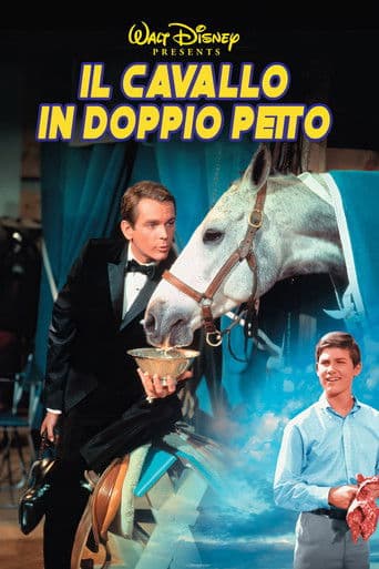Il cavallo in doppiopetto
